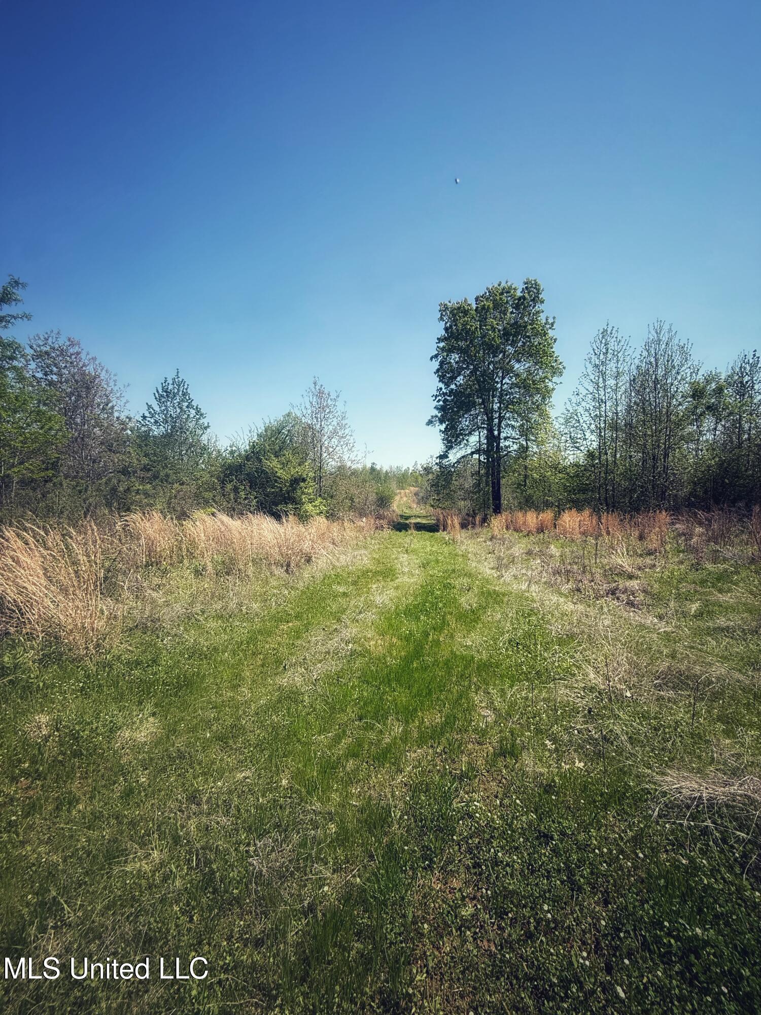 Holly Grove Meeks Road, Cruger, Mississippi image 15