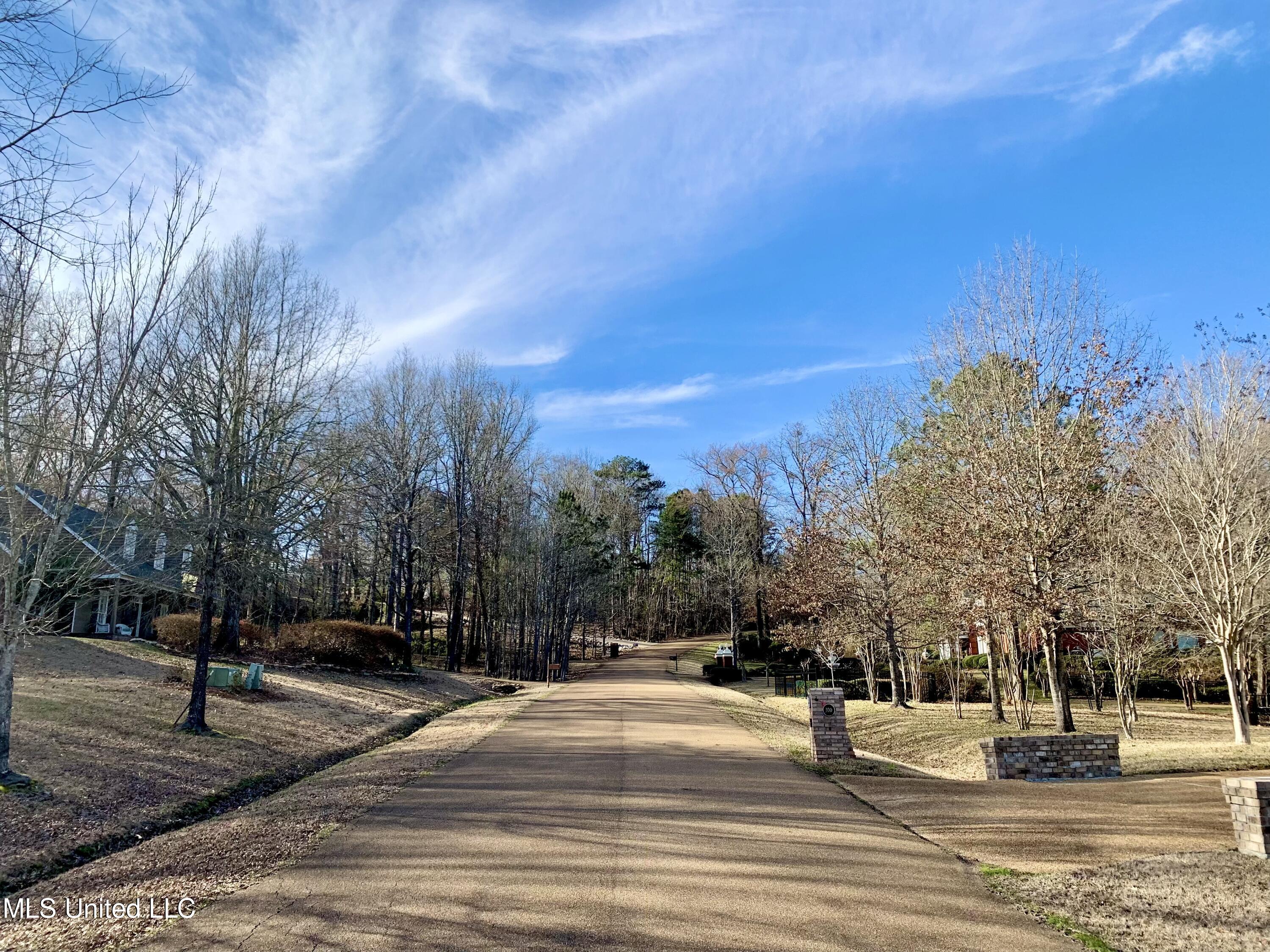 Westminster Court, Madison, Mississippi image 11