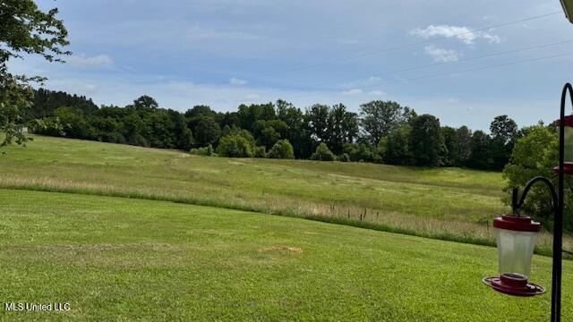 11513 Old Jackson Road, Forest, Mississippi image 7