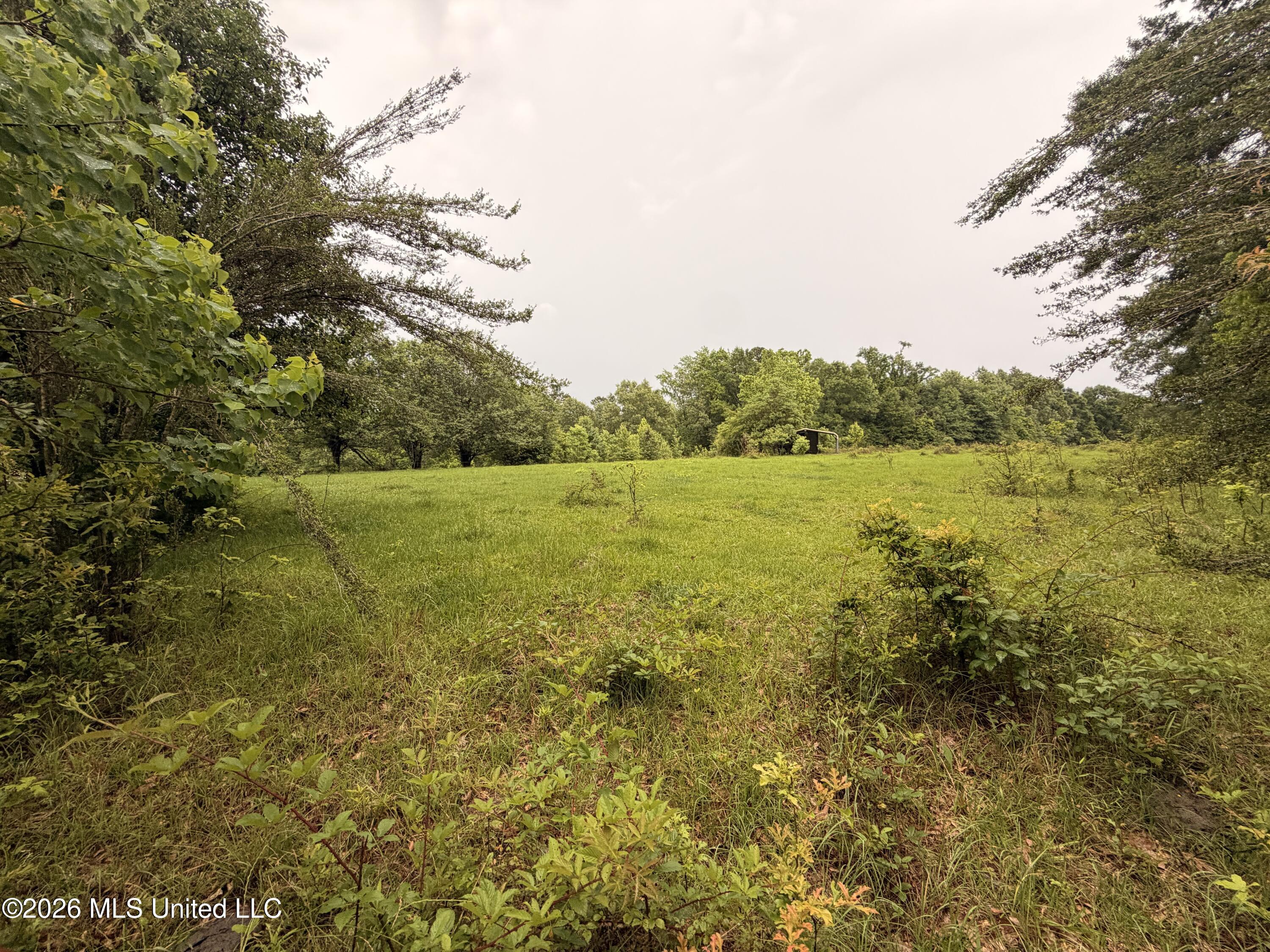 82 Sandpiper Road