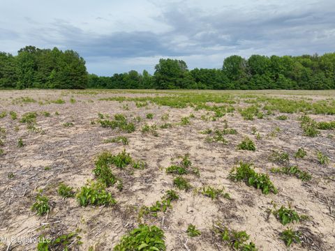 Vacant Land For Sale - 1 Hampton Lake Road<br/> Tallahatchie County, Glendora, MS 38928