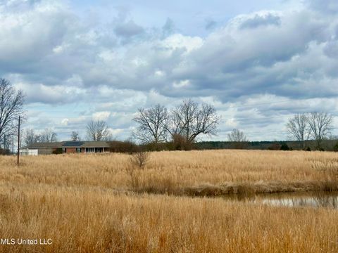 Homes For Sale - 6525 Ebenezer-pickens Road<br/> Holmes County, Pickens, MS 39146