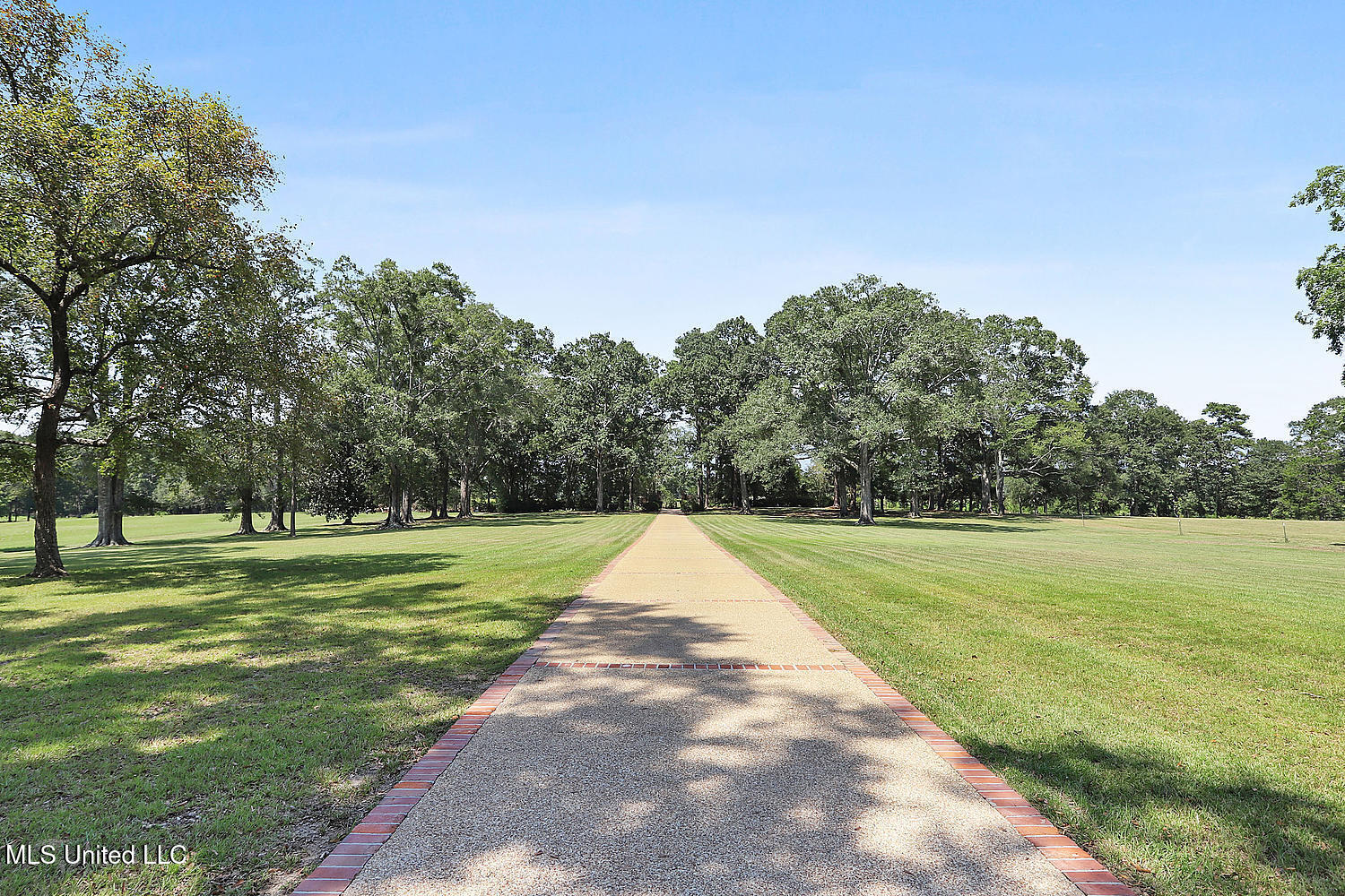 10929 Rouchon Lane, Clinton, Louisiana image 9