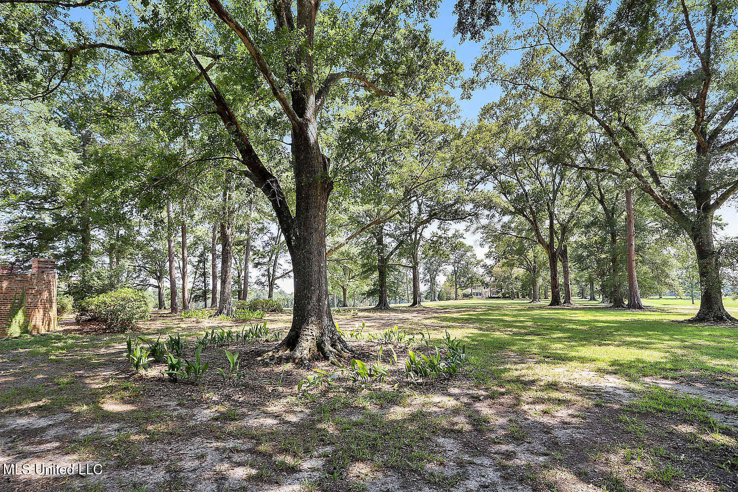 10929 Rouchon Lane, Clinton, Louisiana image 10