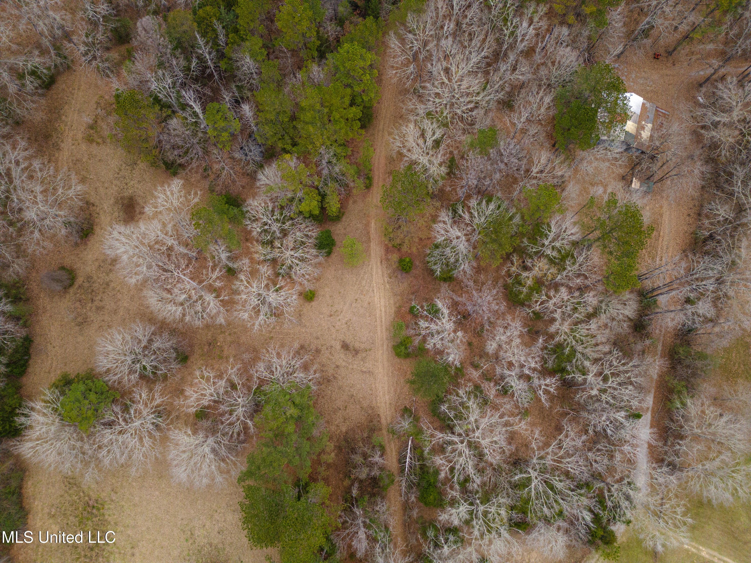 3295 Sand Hill Road, Lexington, Mississippi image 27