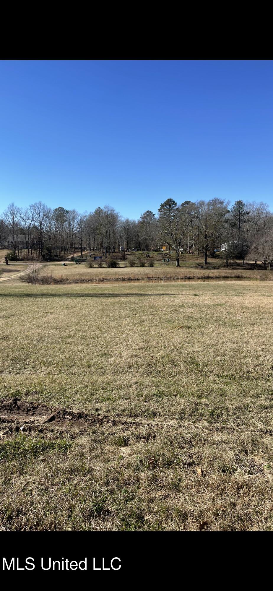 1310 Ford Road, Terry, Mississippi image 3