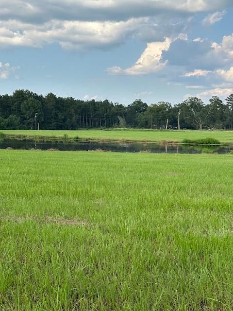 Vacant Land For Sale - 000 Montgomery Road<br/> Lincoln County, Bogue Chitto, MS 39629