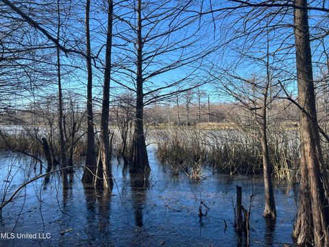 Vacant Land For Sale - S Old Highway 61<br/> Dundee, MS 38626