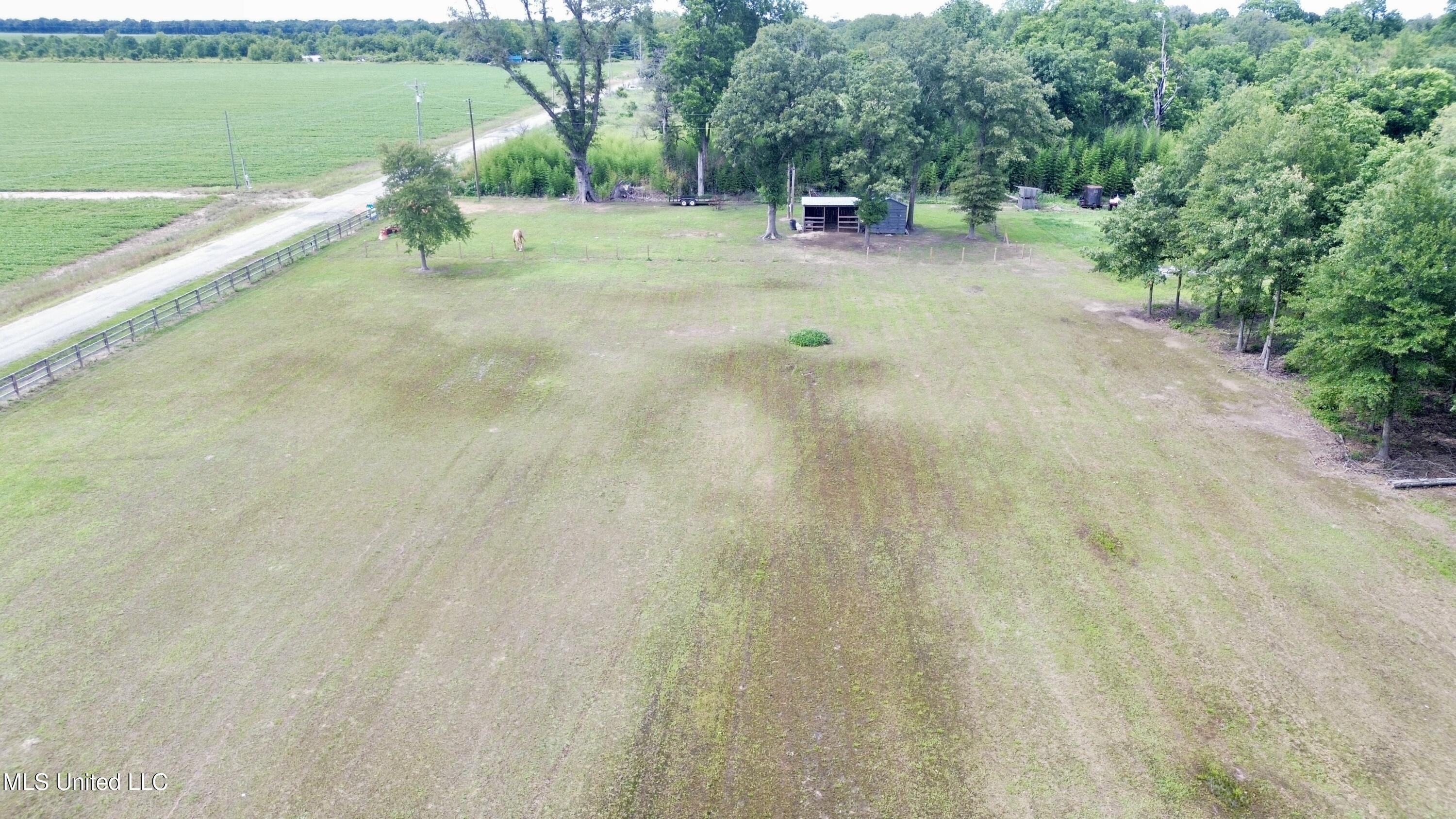 Blue Lake Road, Drew, Mississippi image 20