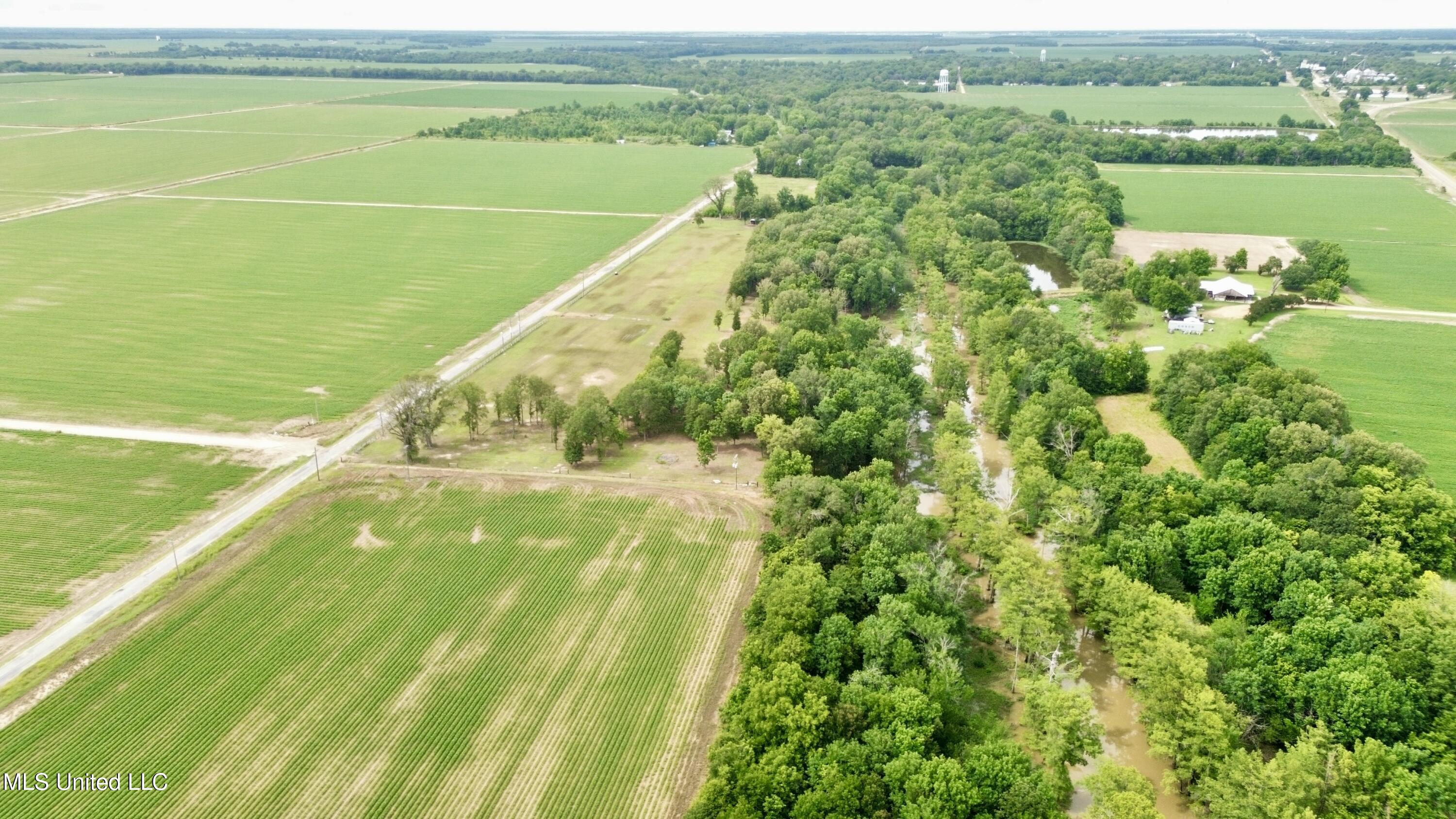 Blue Lake Road, Drew, Mississippi image 11