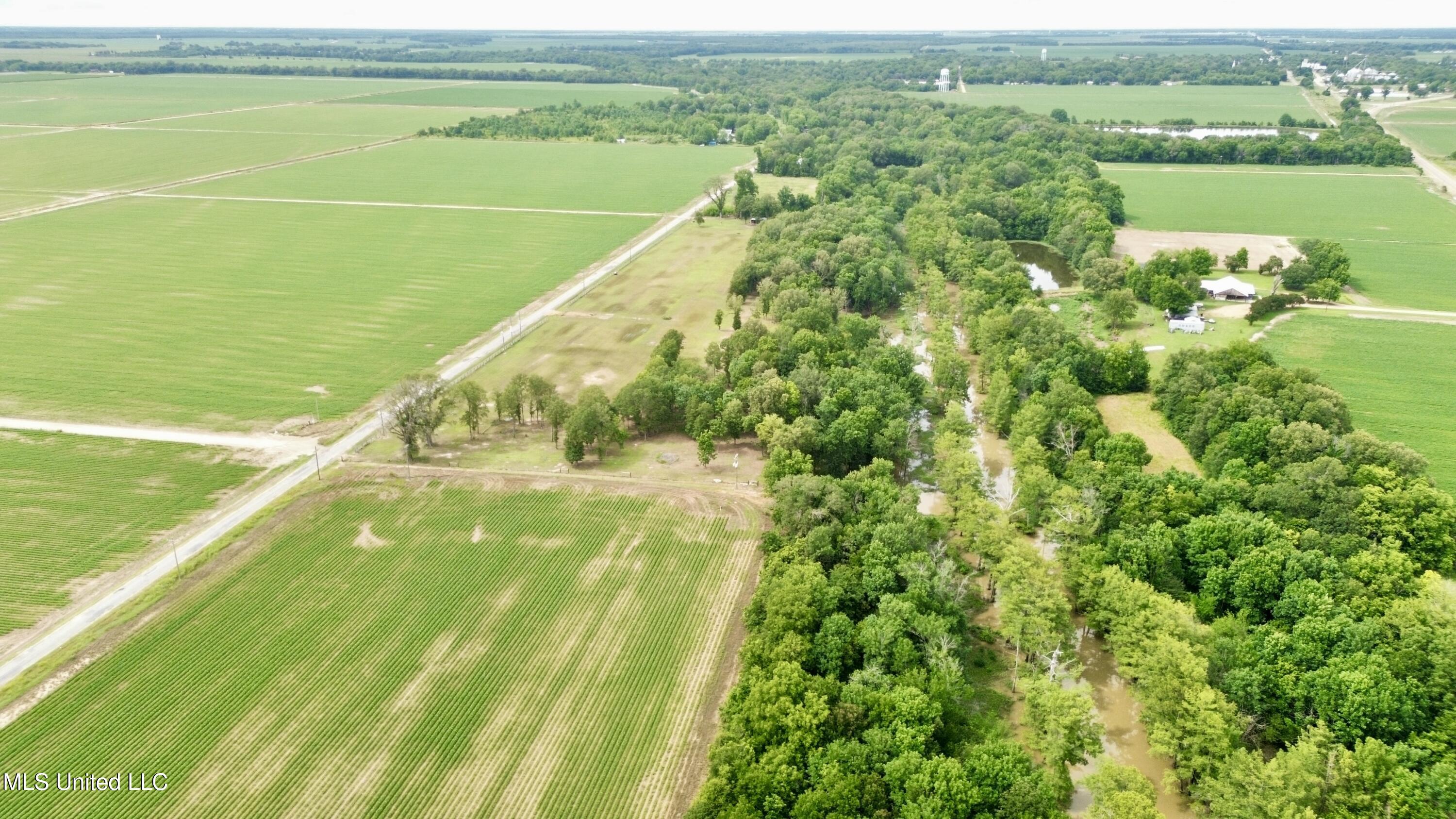 Blue Lake Road, Drew, Mississippi image 10