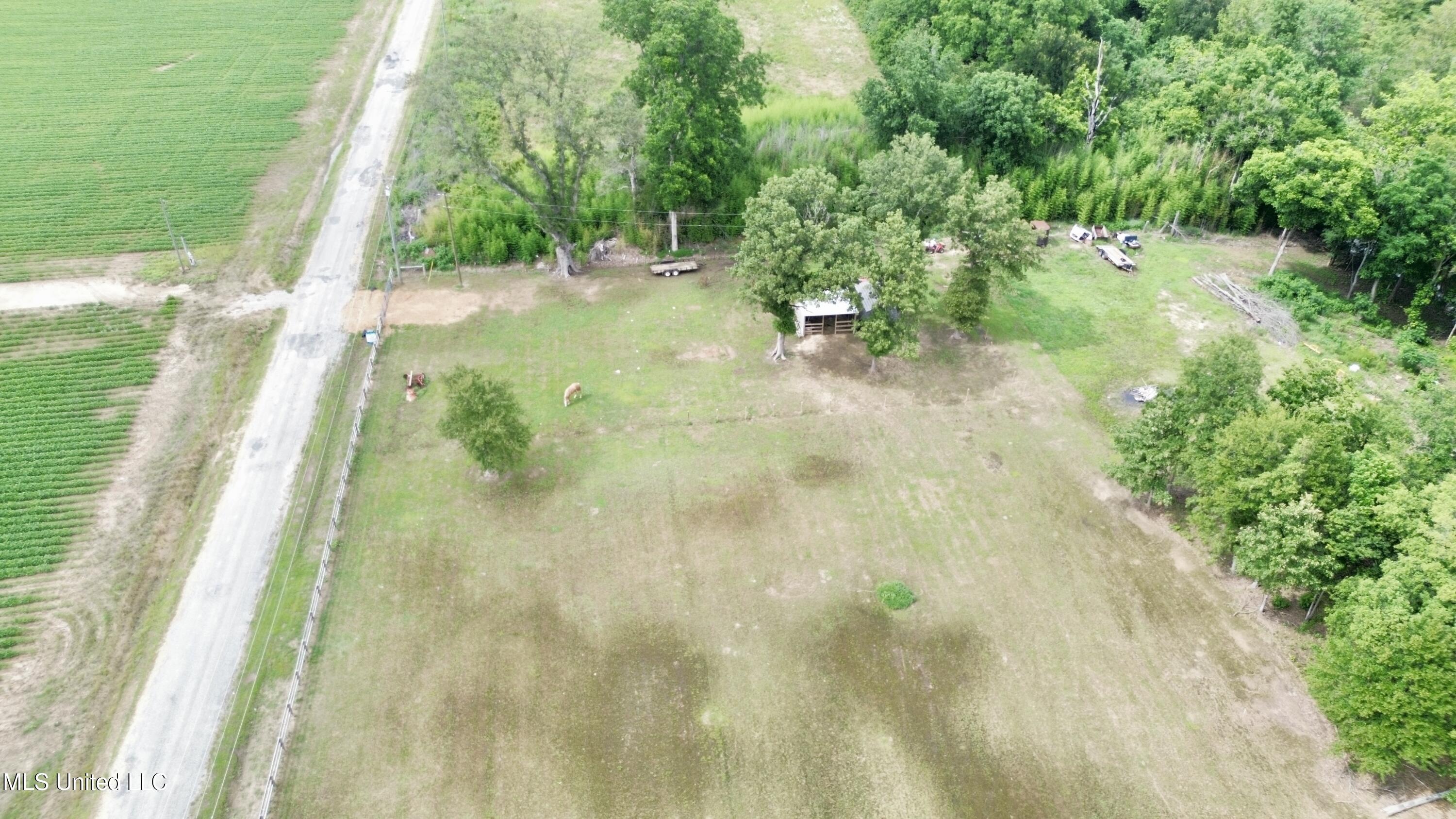 Blue Lake Road, Drew, Mississippi image 13