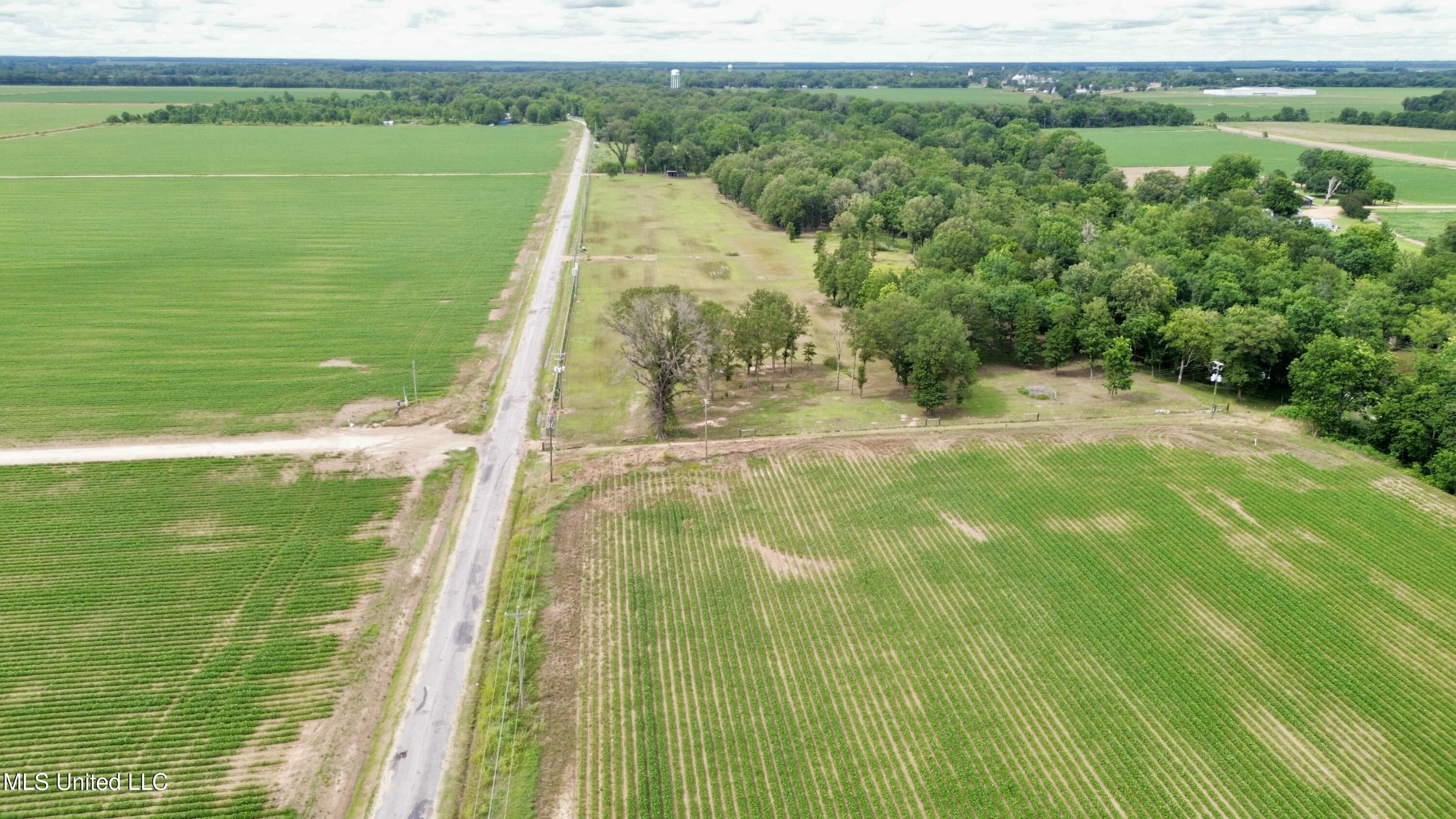 Blue Lake Road, Drew, Mississippi image 8