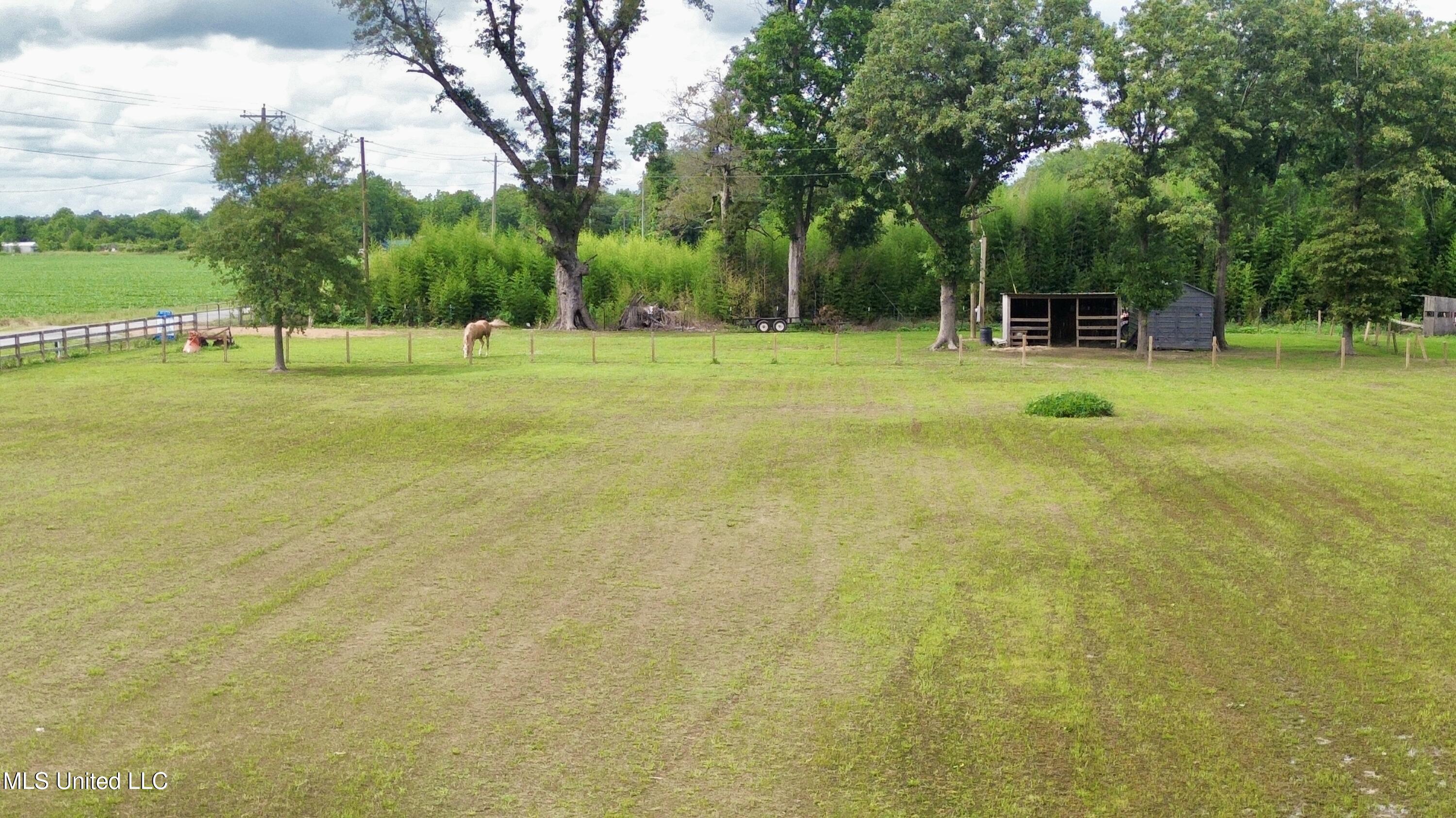 Blue Lake Road, Drew, Mississippi image 16