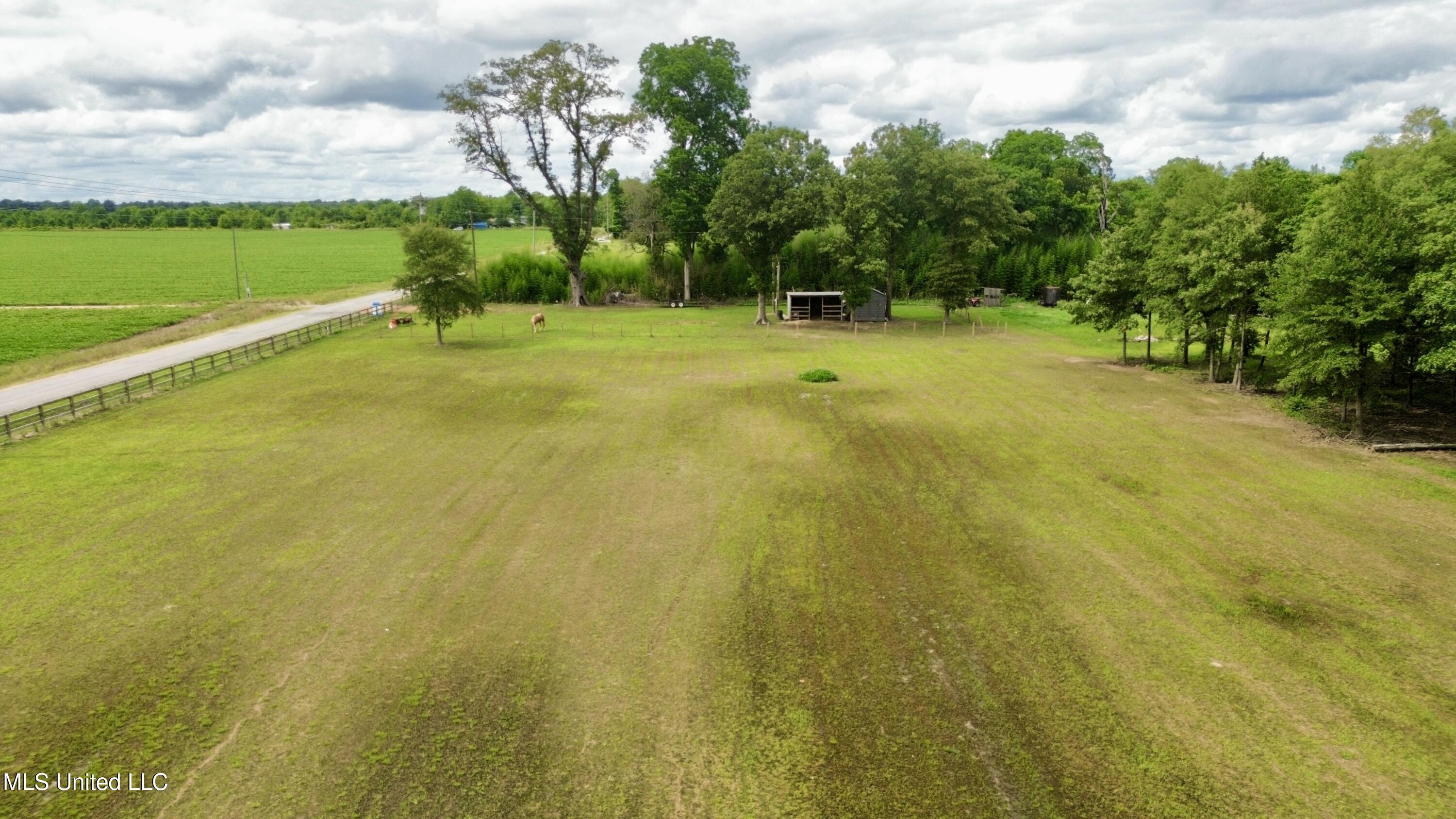 Blue Lake Road, Drew, Mississippi image 14