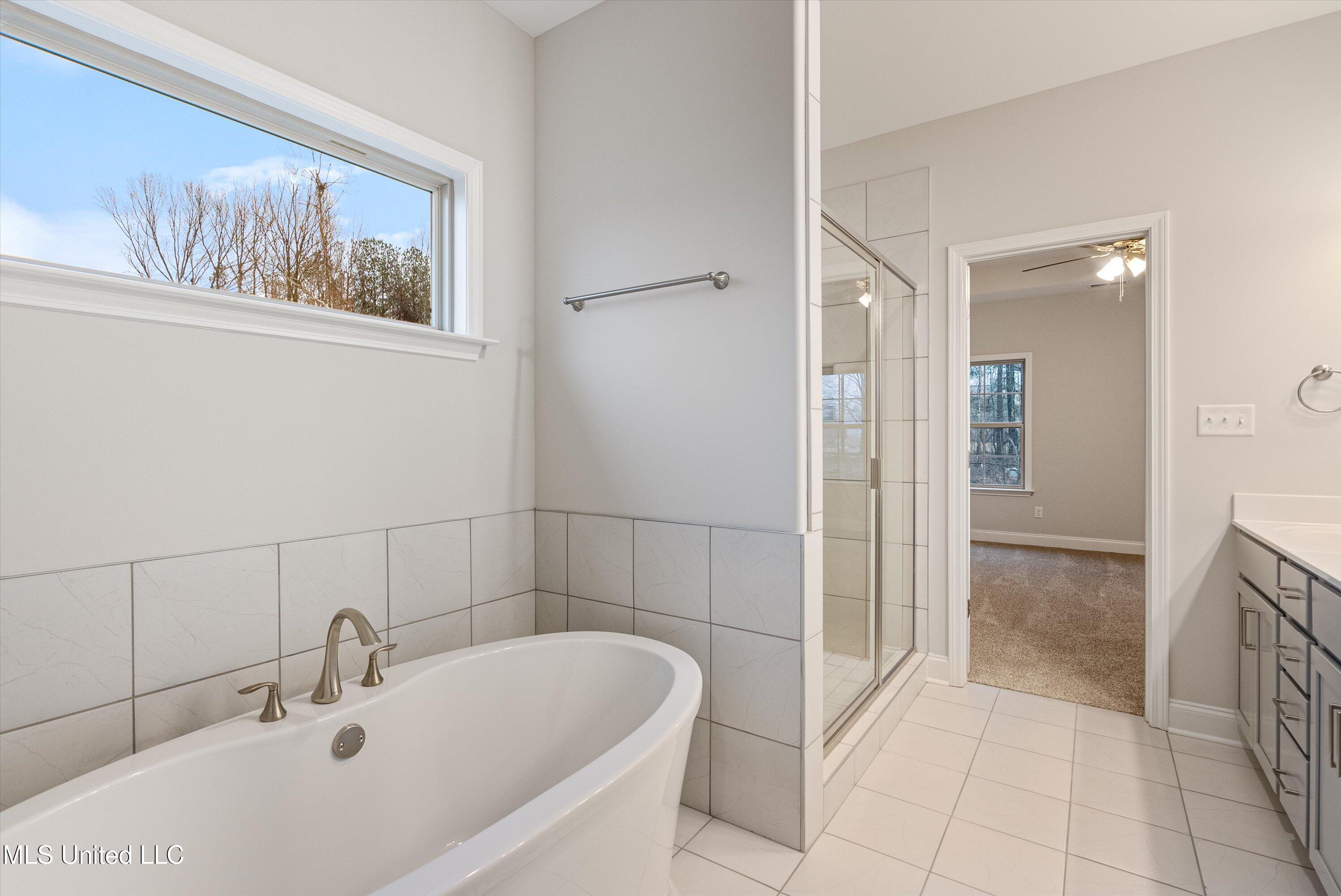 2406 Scott Meadows Lane, Hernando, Mississippi image 18