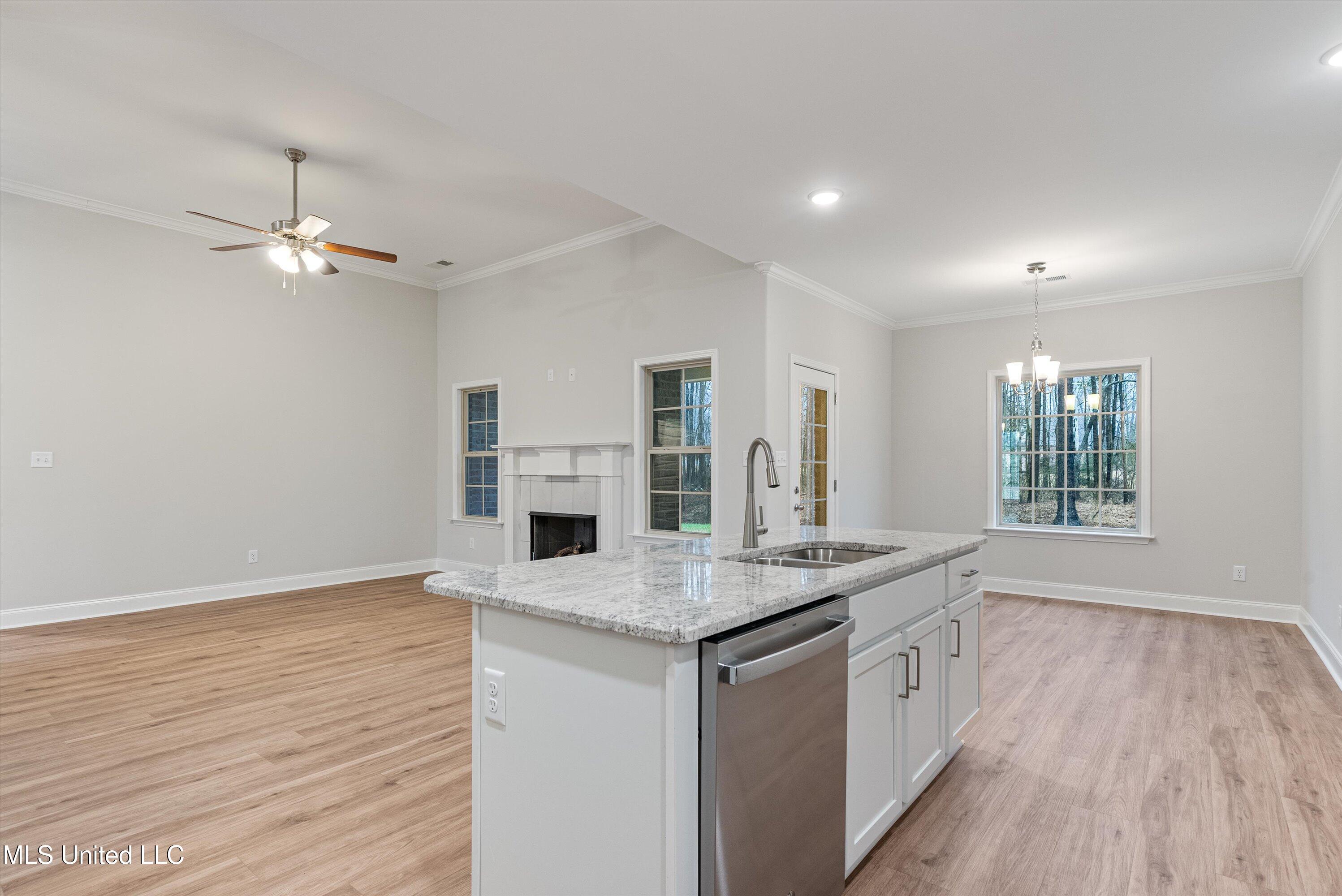 2406 Scott Meadows Lane, Hernando, Mississippi image 13