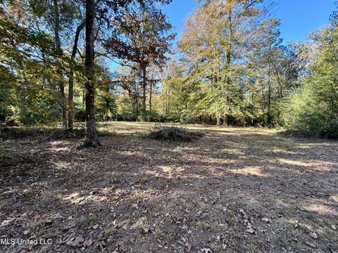 Vacant Land For Sale - Paige Drive<br/> Pike County, McComb, MS 39648