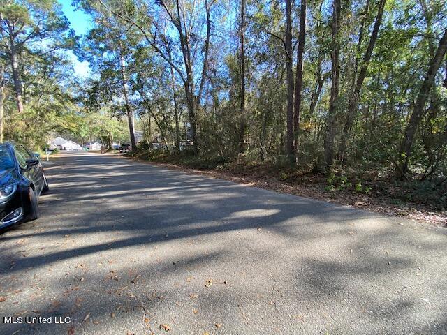 Tuna Road, Gautier, Mississippi image 9