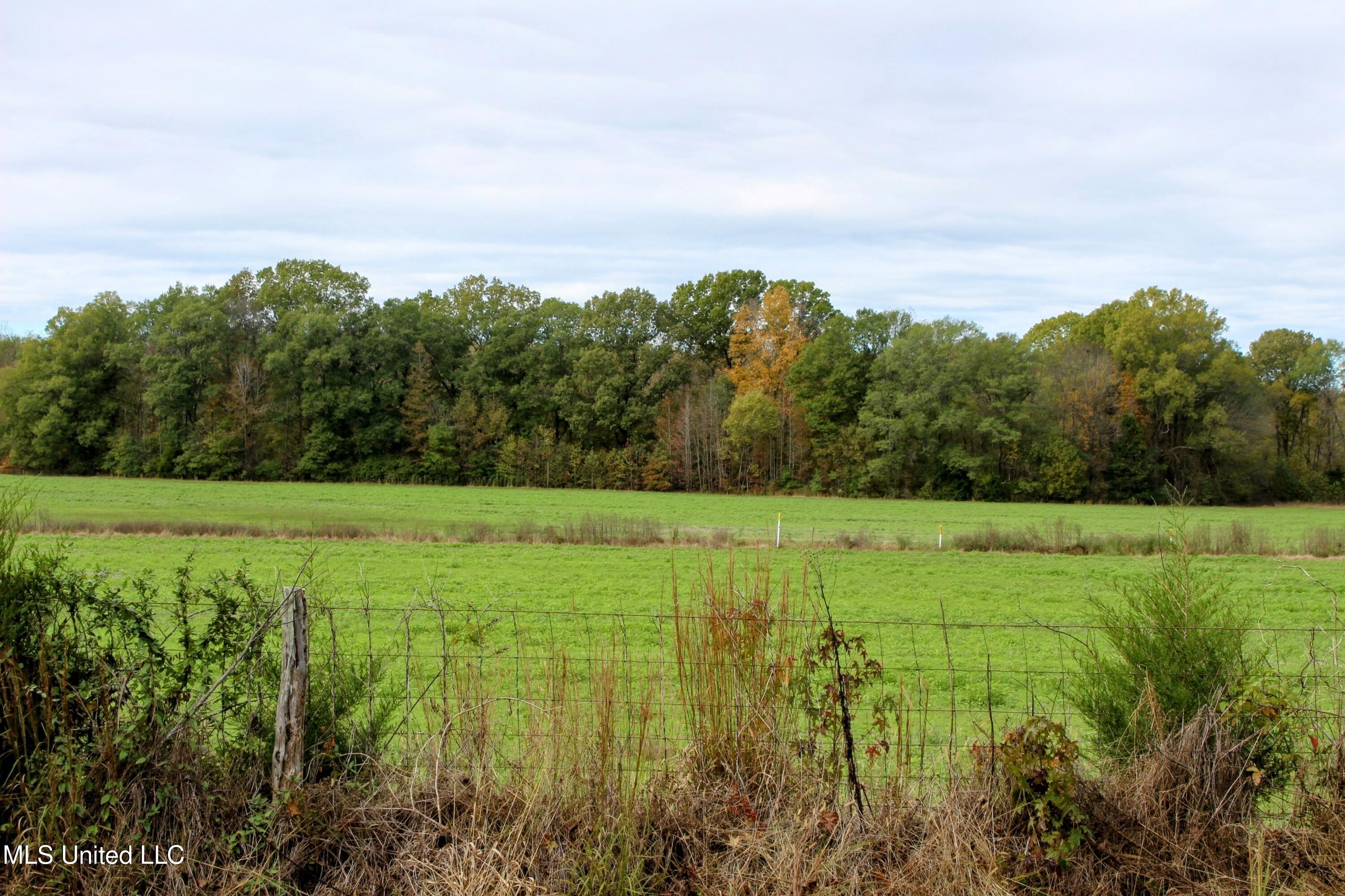 Tbd Cr 235, Banner, Mississippi image 9