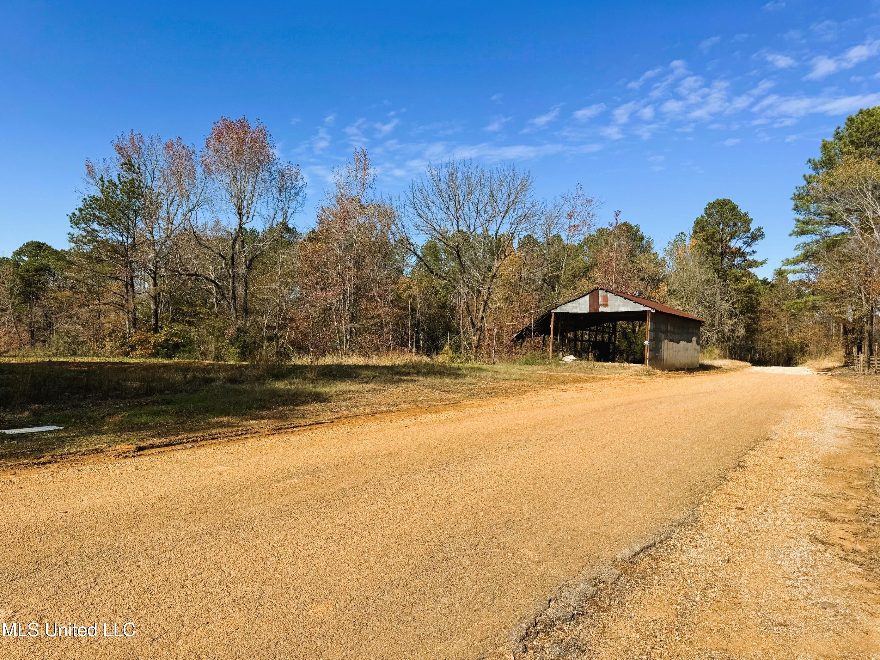 Tbd Cr 235, Banner, Mississippi image 15