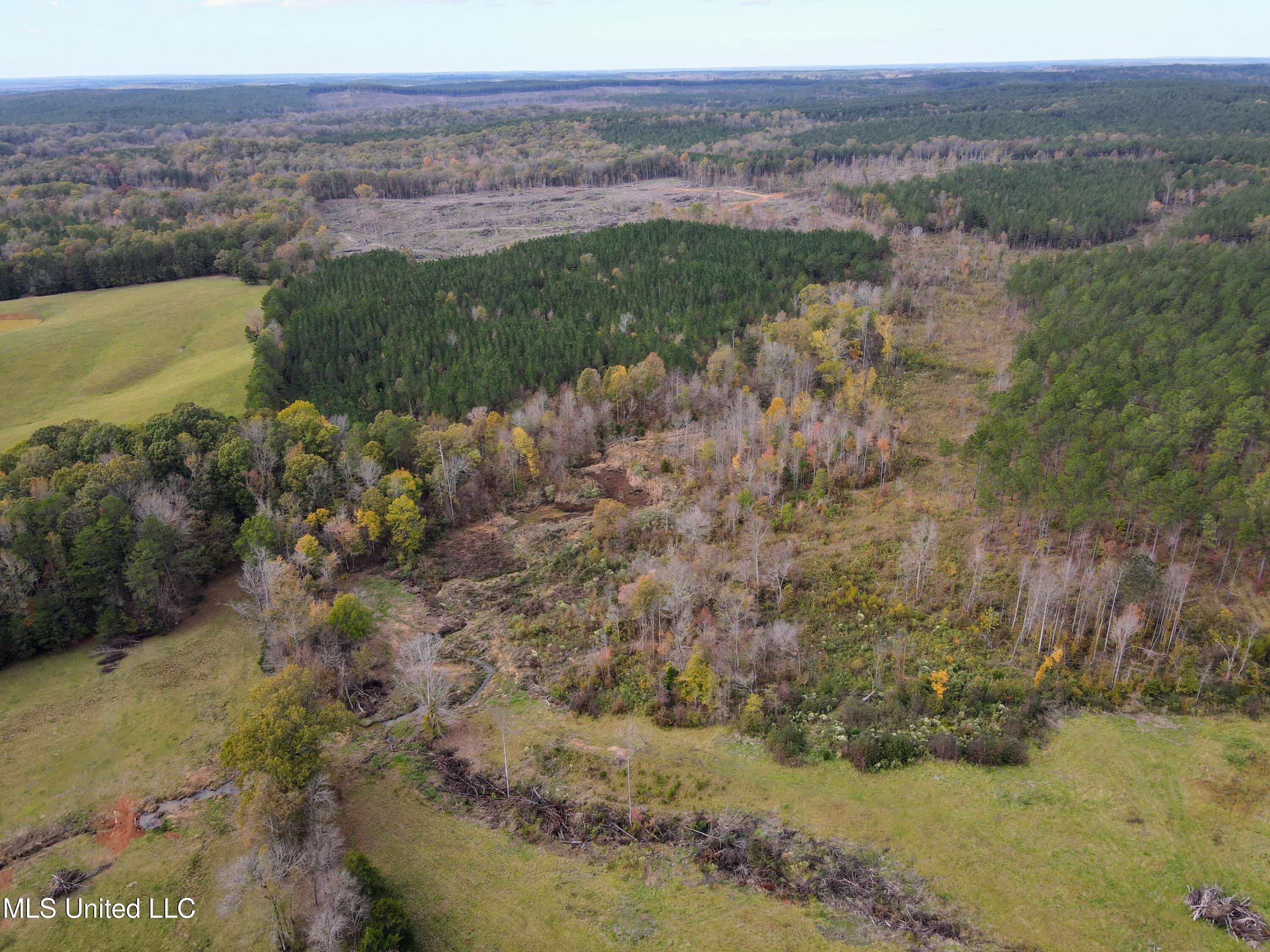 Tbd Cr 235, Banner, Mississippi image 2