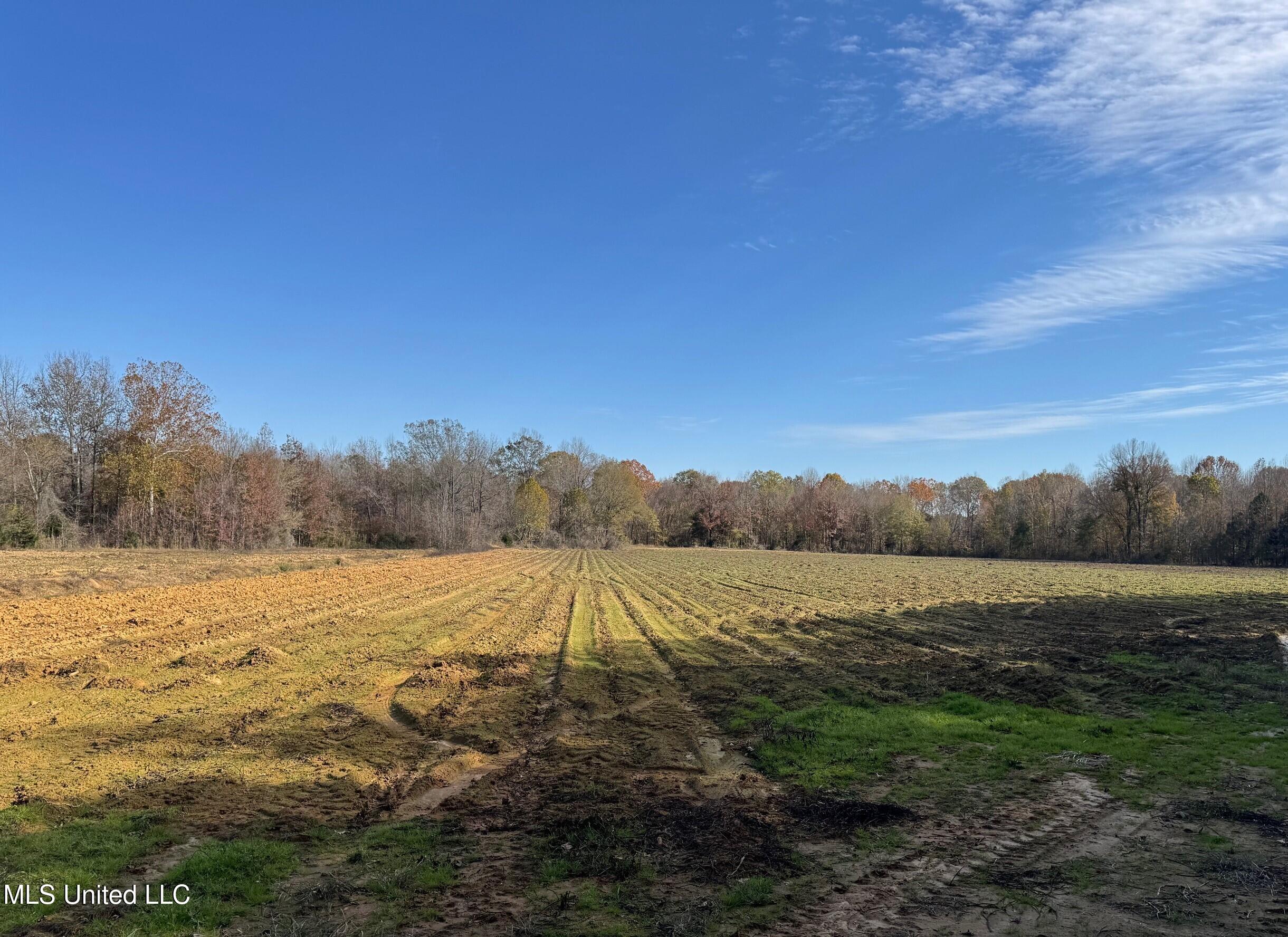 Tbd Cr 235, Banner, Mississippi image 22