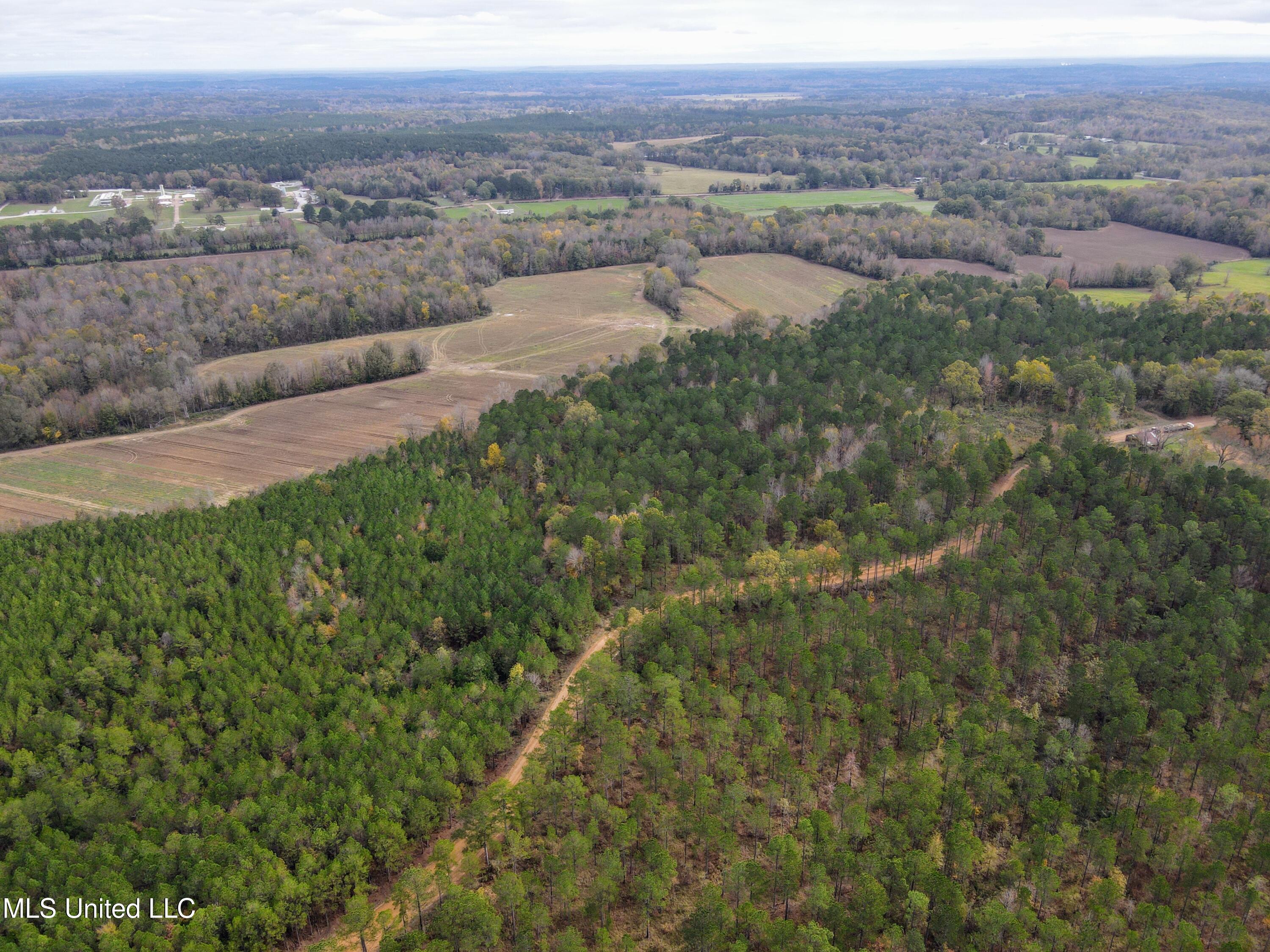 Tbd Cr 235, Banner, Mississippi image 4