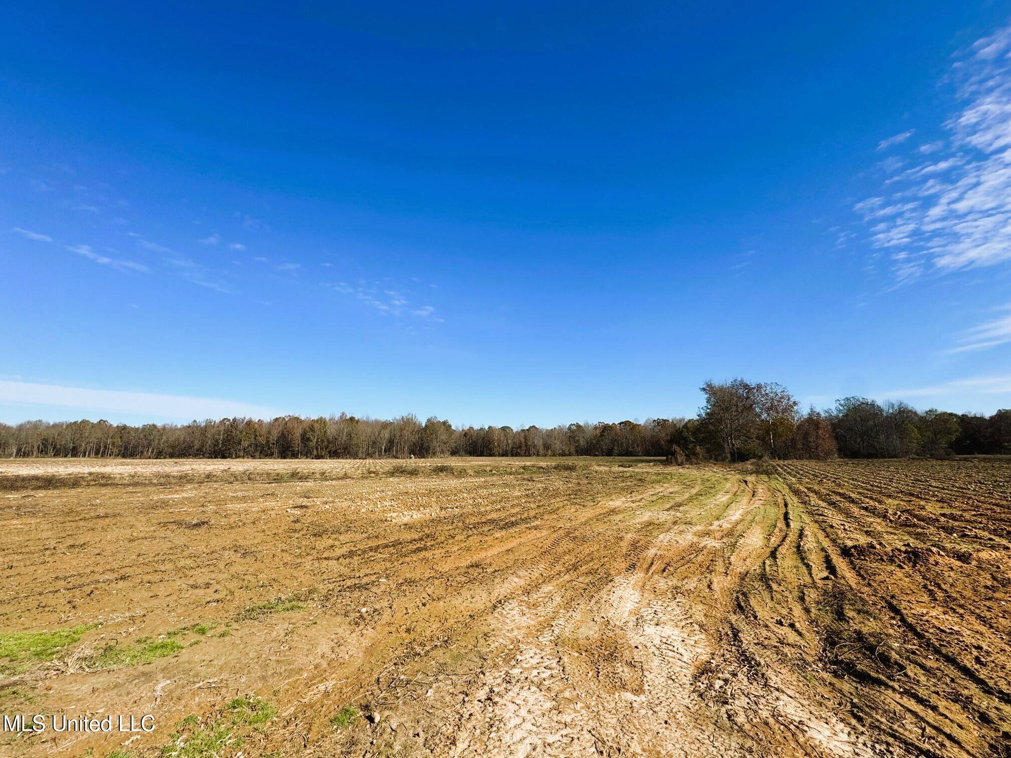 Tbd Cr 235, Banner, Mississippi image 20