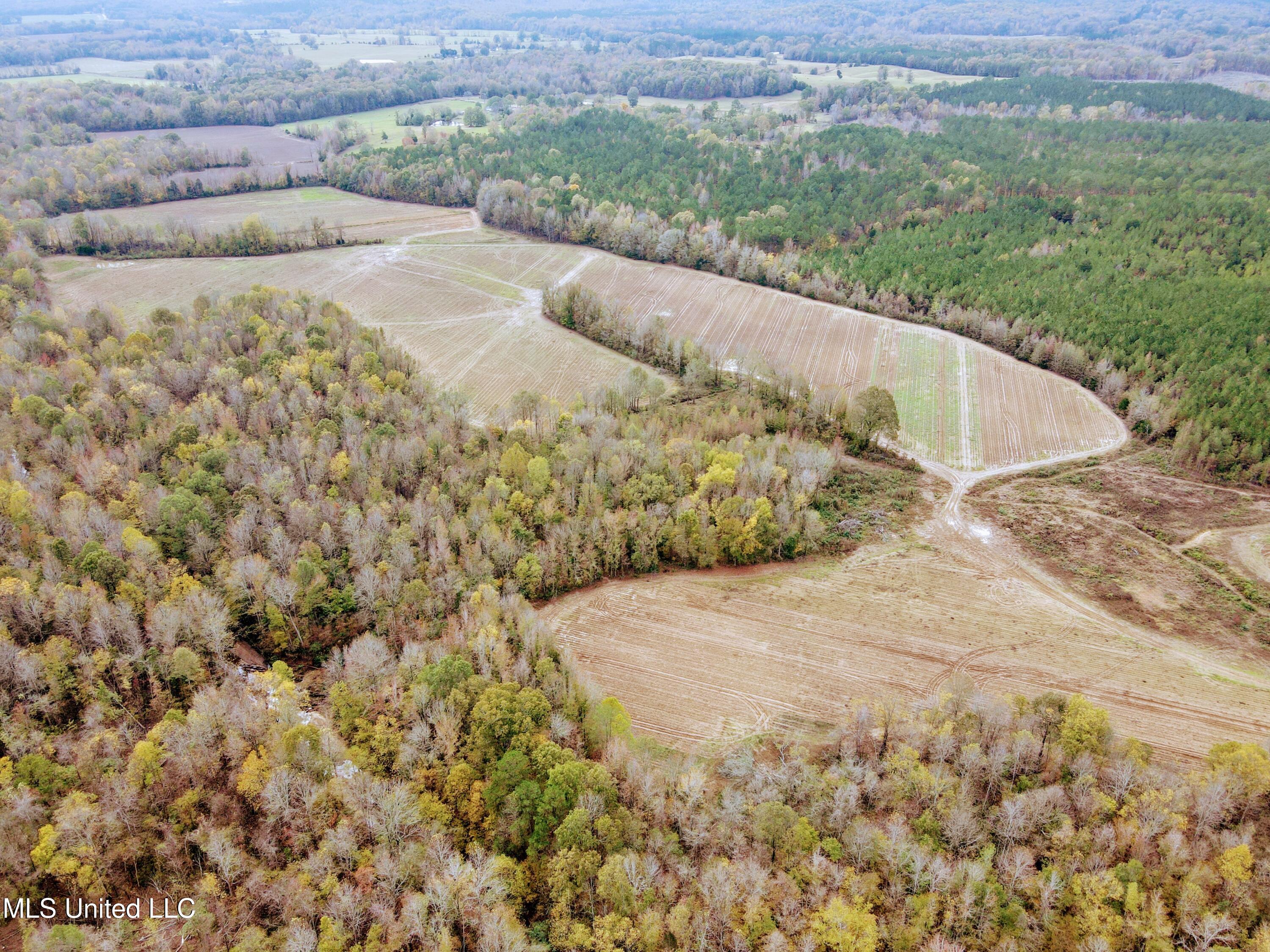 Tbd Cr 235, Banner, Mississippi image 1