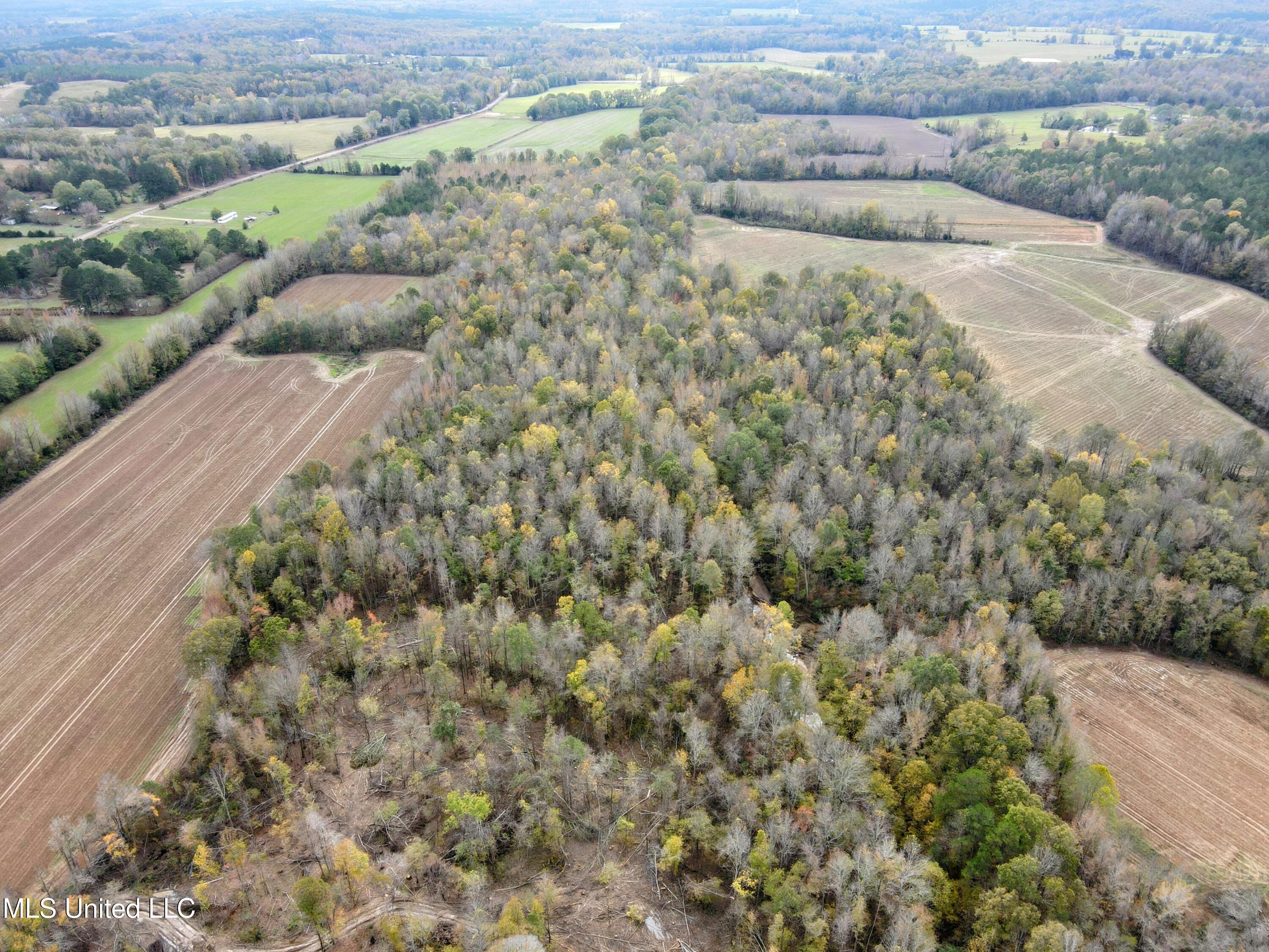 Tbd Cr 235, Banner, Mississippi image 3