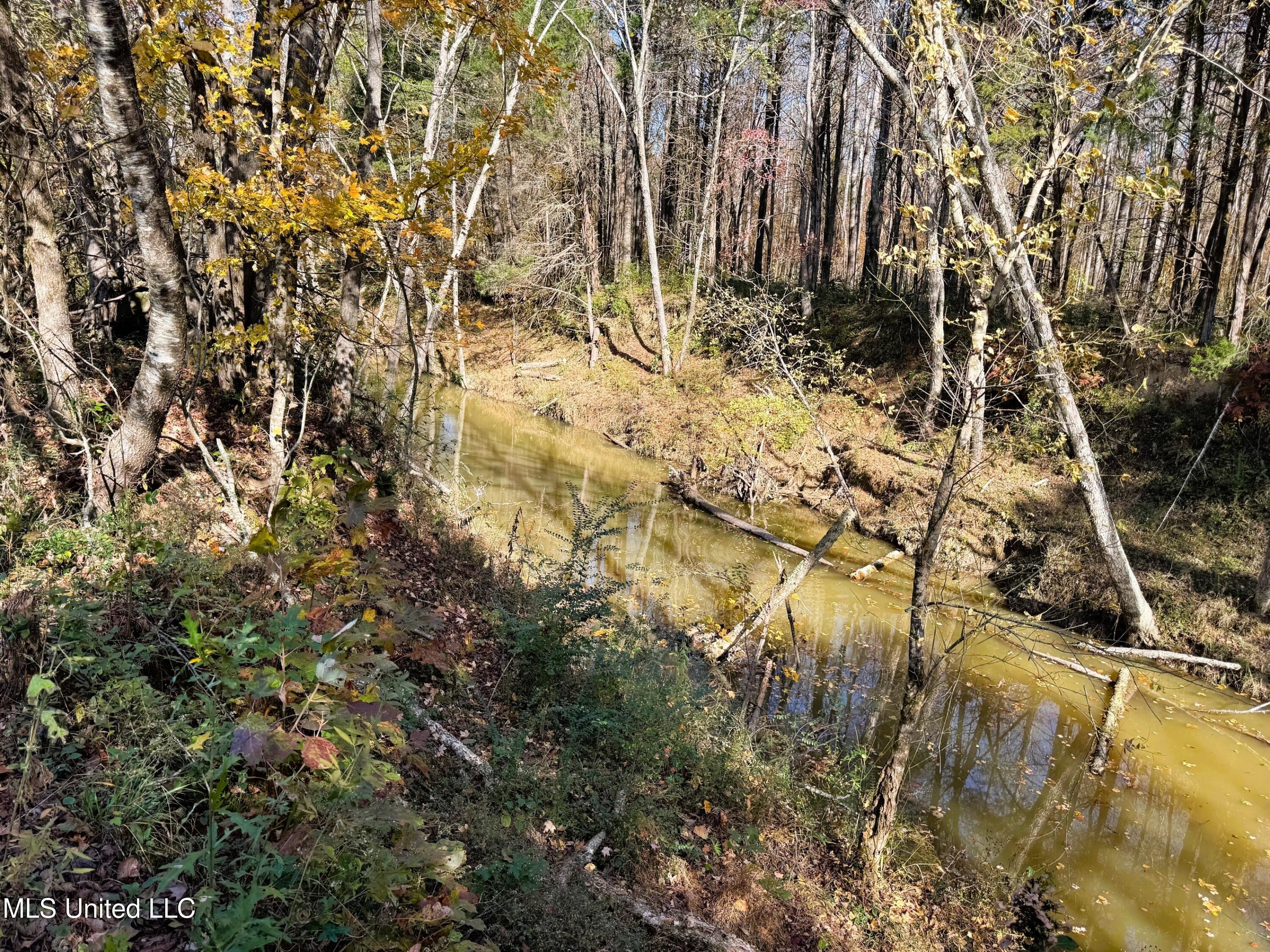 Tbd Cr 235, Banner, Mississippi image 16