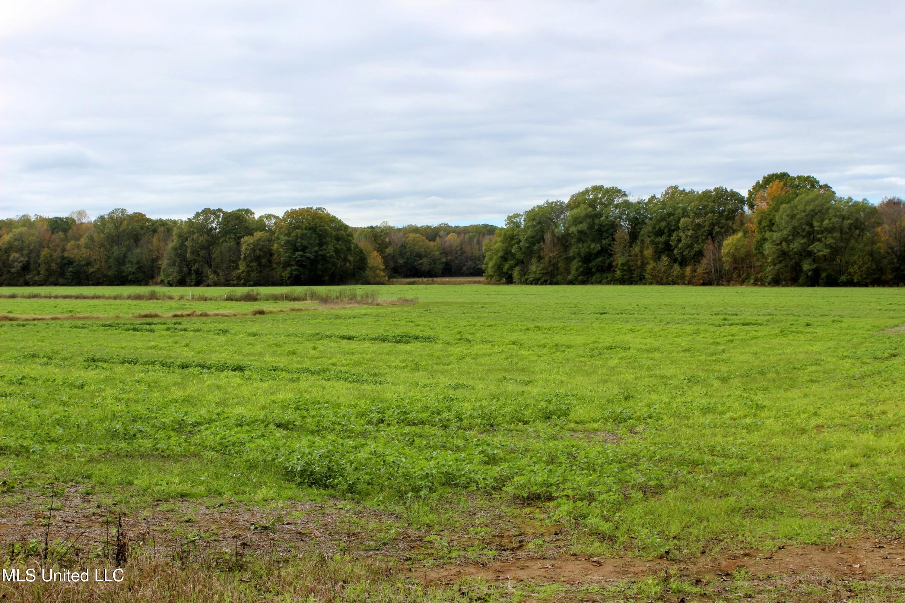 Tbd Cr 235, Banner, Mississippi image 10