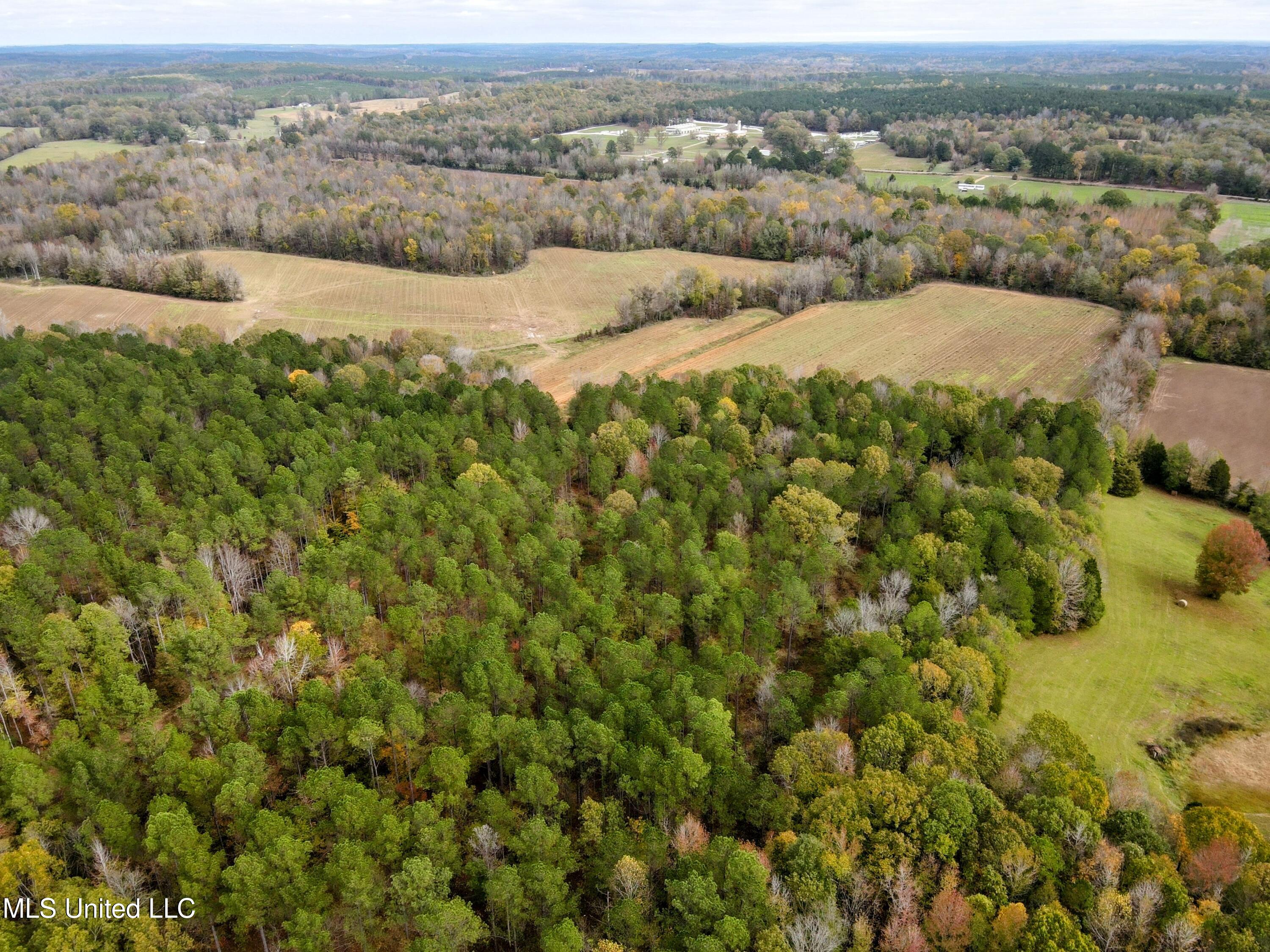 Tbd Cr 235, Banner, Mississippi image 21