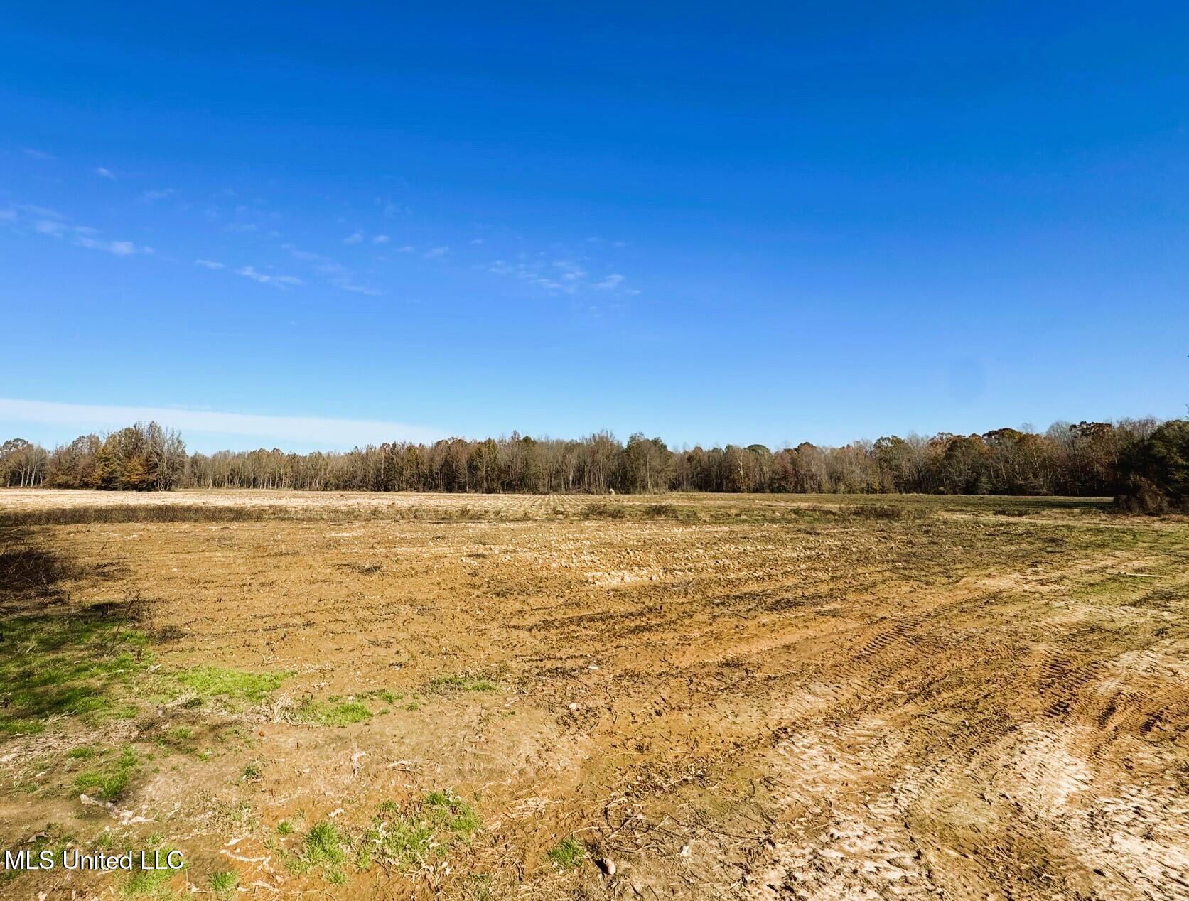 Tbd Cr 235, Banner, Mississippi image 19