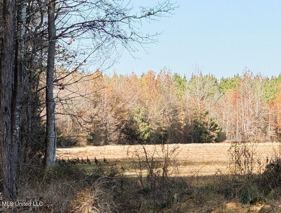 Tbd Cr 235, Banner, Mississippi image 17