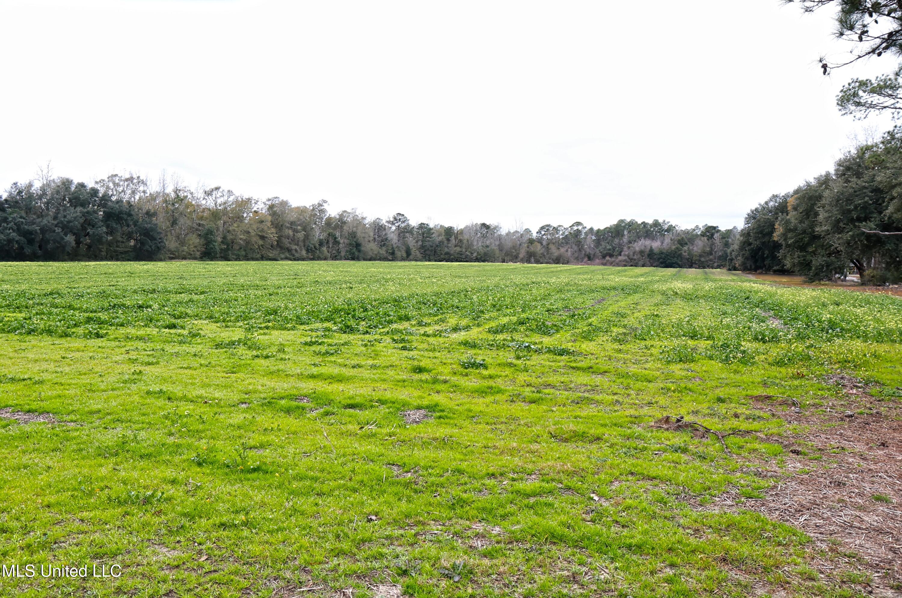 Ramie Farm Road, Lucedale, Mississippi image 1