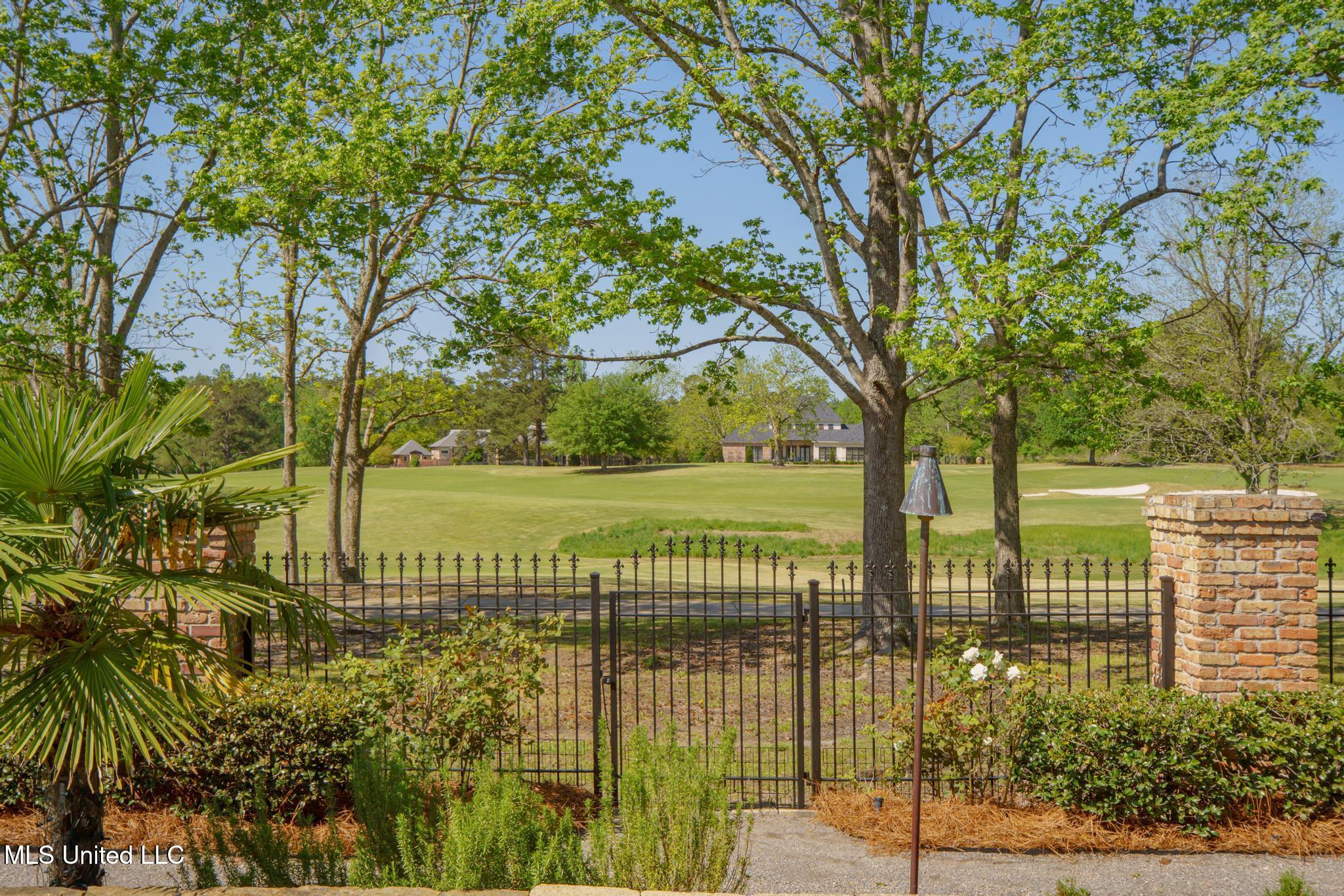 65 Pecan, Hattiesburg, Mississippi image 50