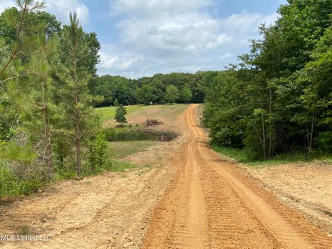Vacant Land For Sale - Mcmaster Road<br/> Sarah, MS 38665