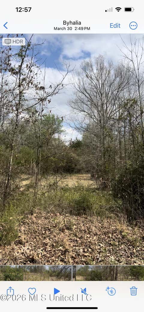 Vacant Land For Sale - LOT 3 Matthews Drive<br/> Byhalia, MS 38611