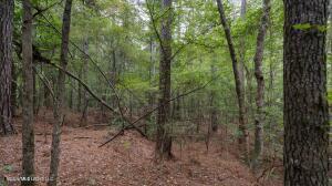 Vacant Land For Sale - 633 Lowhead Dam Road<br/> Lena, MS 39094