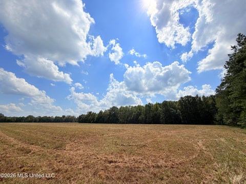 Vacant Land For Sale - Smith Avenue Road<br/> Leake County, Carthage, MS 39051