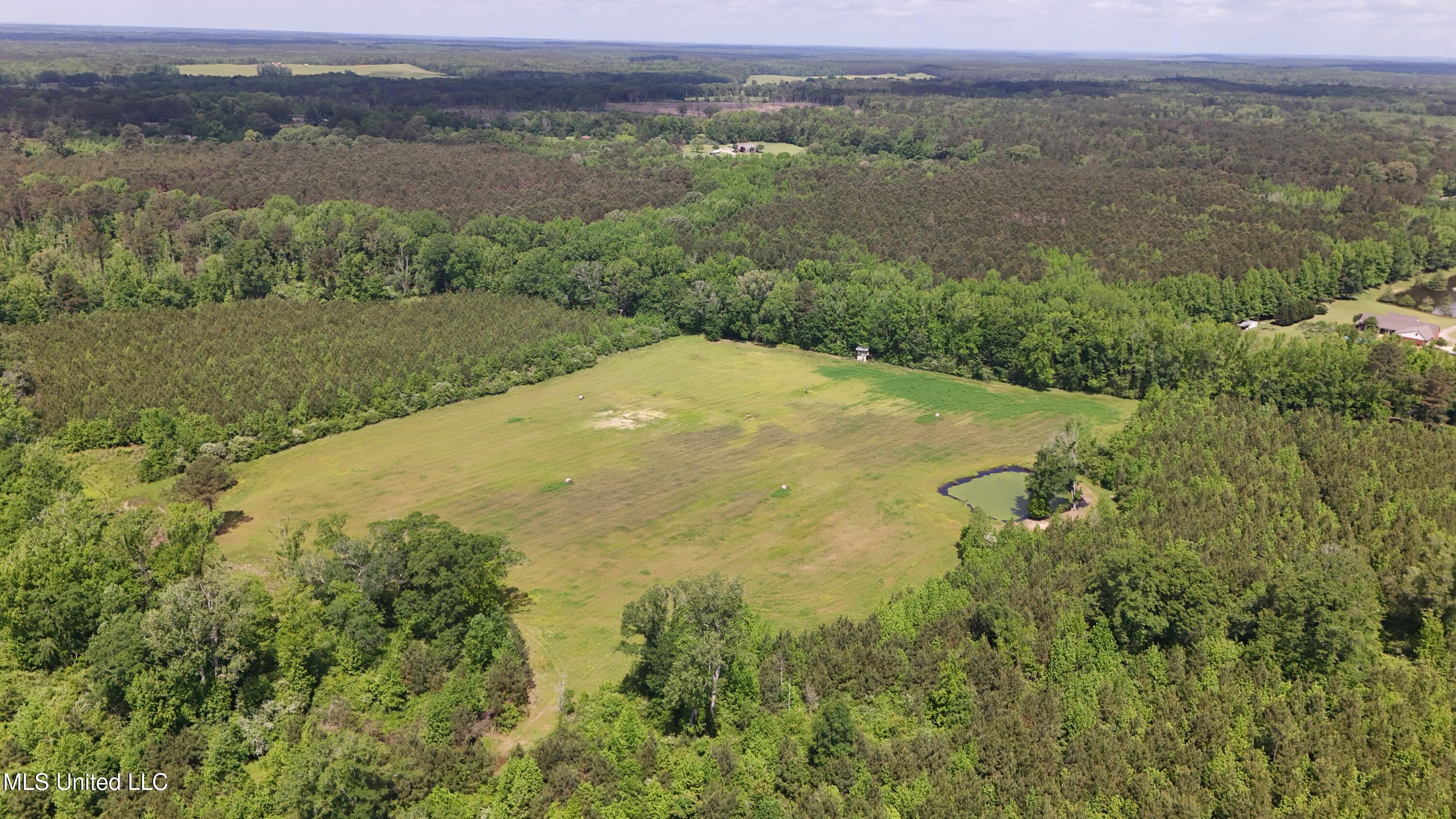 7844 Ms Highway 12, Ackerman, Mississippi image 3