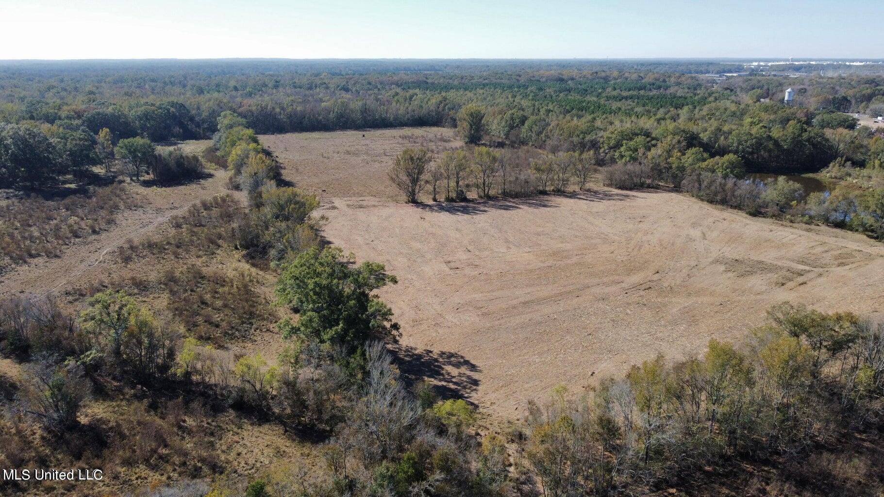 Canton Parkway, Canton, Mississippi image 5