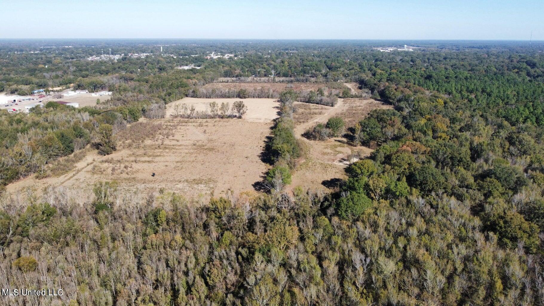 Canton Parkway, Canton, Mississippi image 2