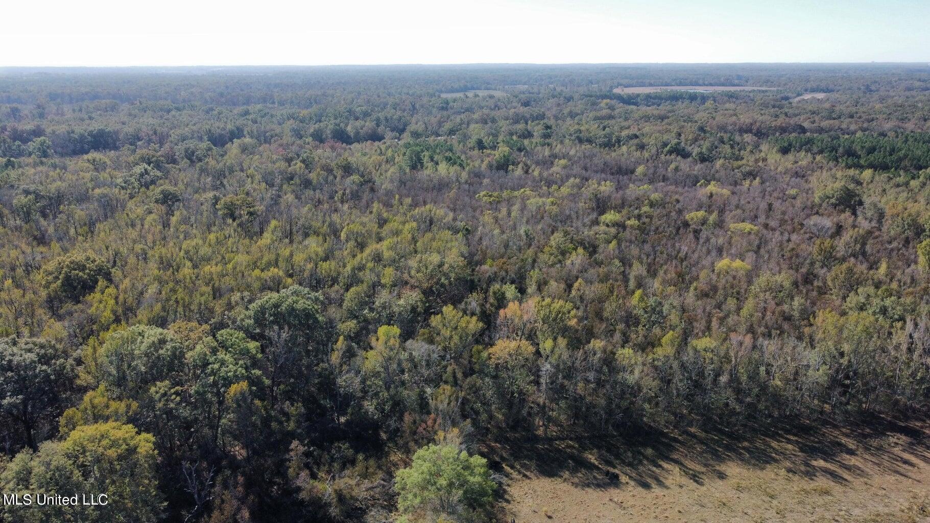 Canton Parkway, Canton, Mississippi image 9