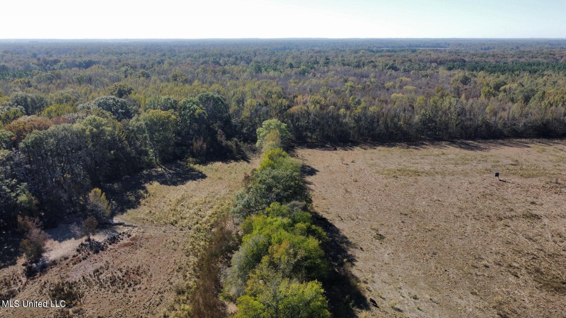 Canton Parkway, Canton, Mississippi image 8