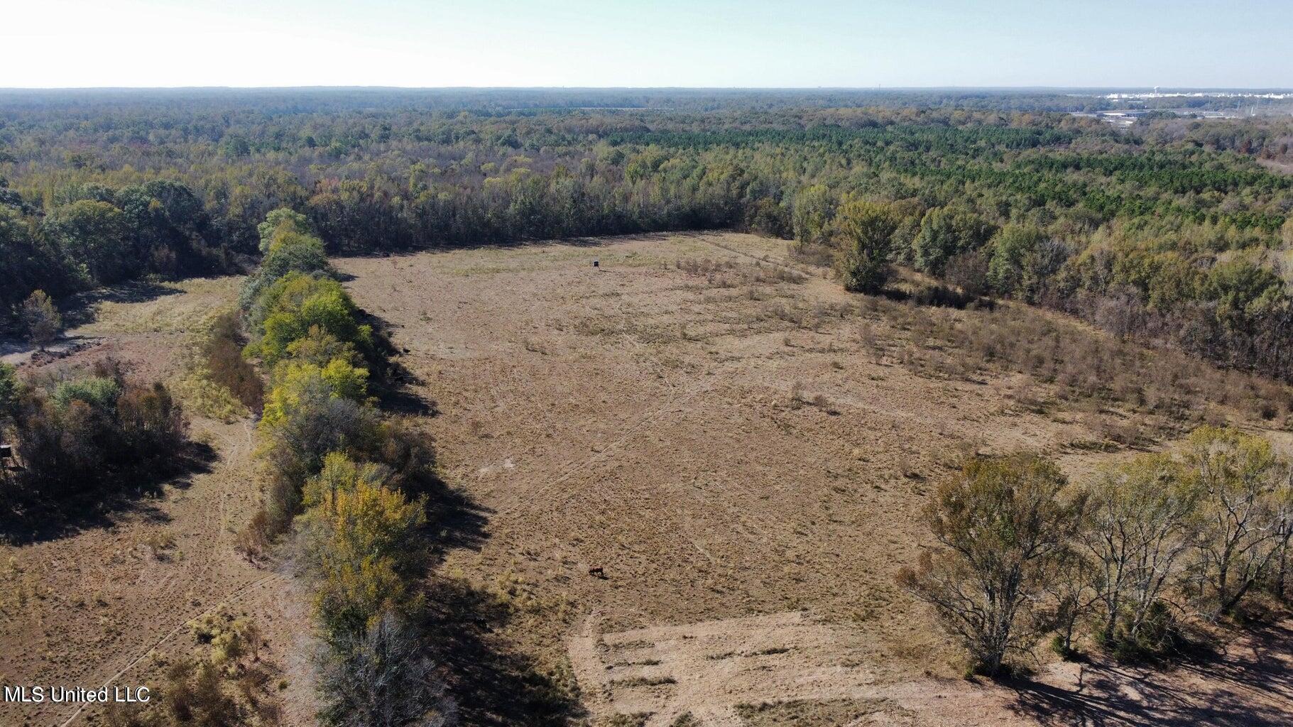 Canton Parkway, Canton, Mississippi image 7