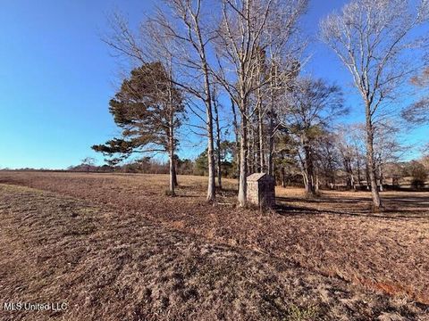 Vacant Land For Sale - Joby Magee Road<br/> Franklinton, LA 70438