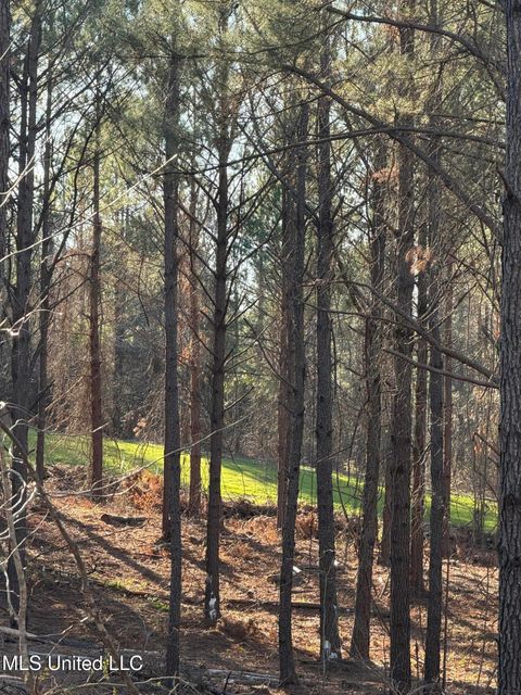 Vacant Land For Sale - Byron Paul Lane<br/> Crystal Springs, MS 39059